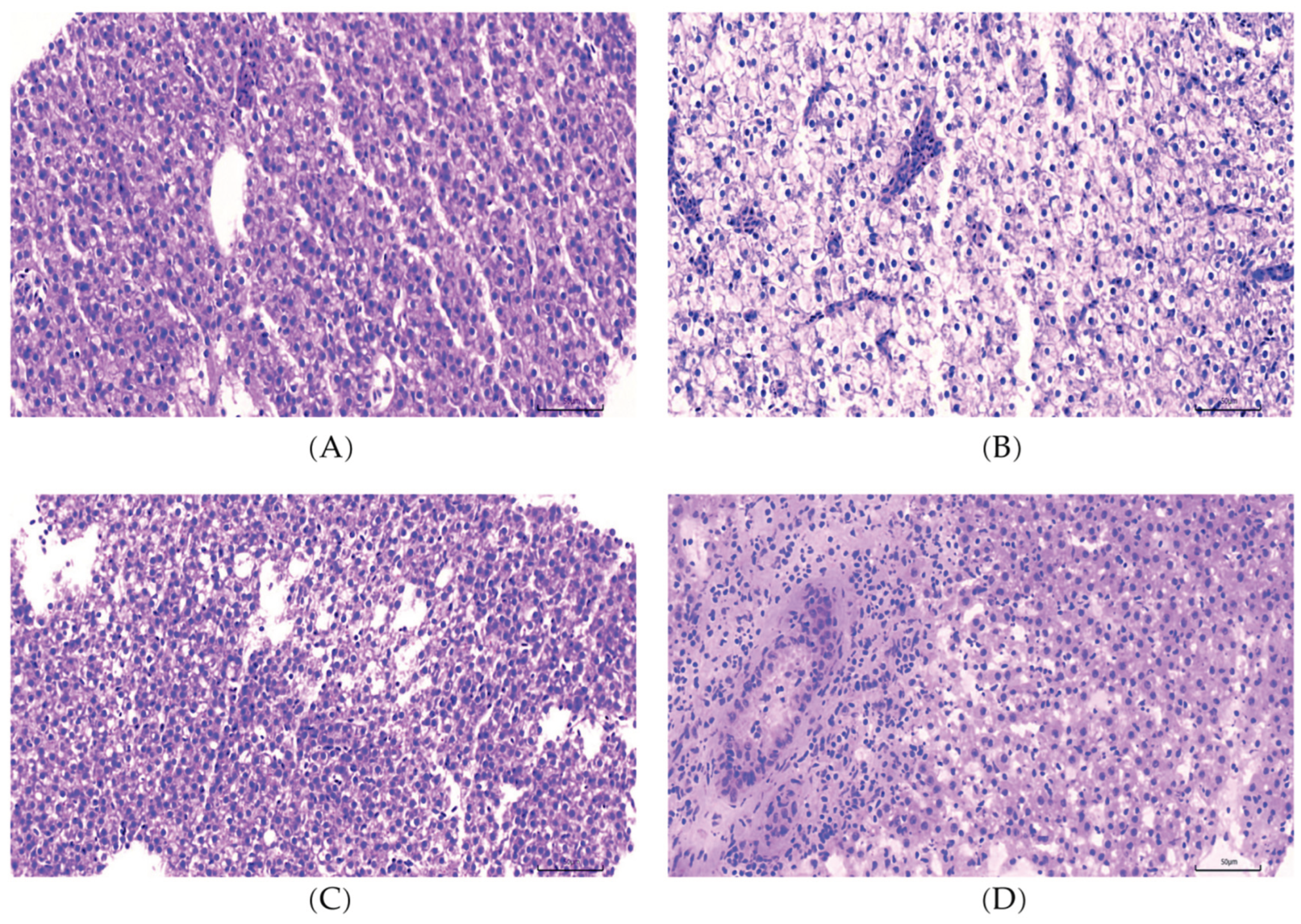 Preprints 196747 g001