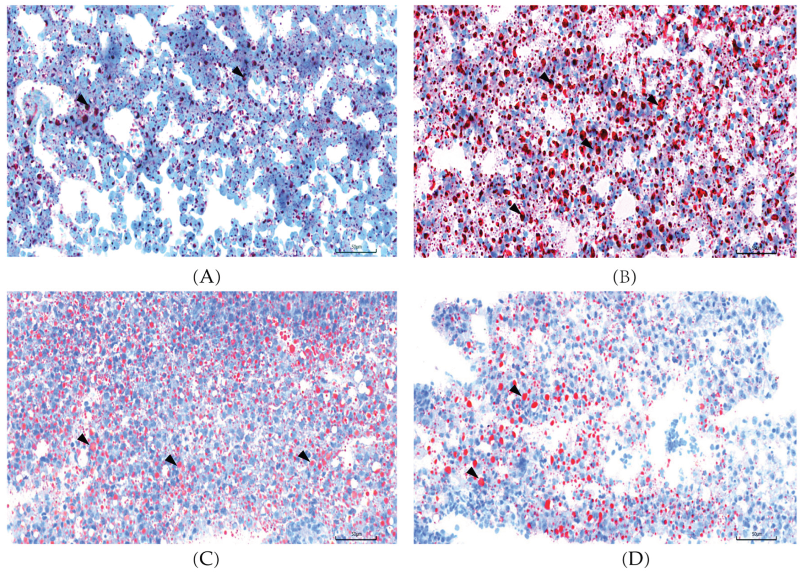 Preprints 196747 g002