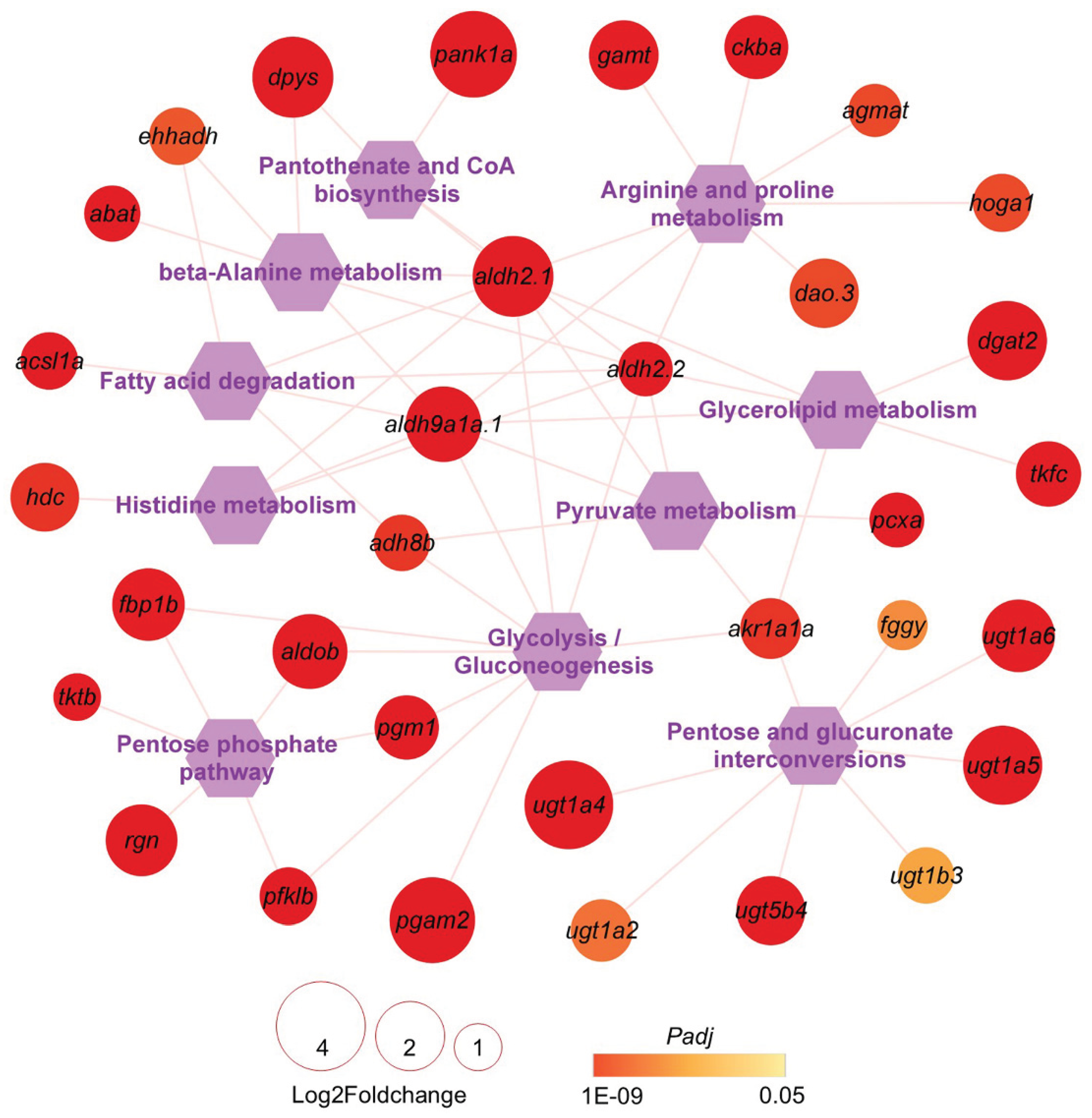 Preprints 196747 g008