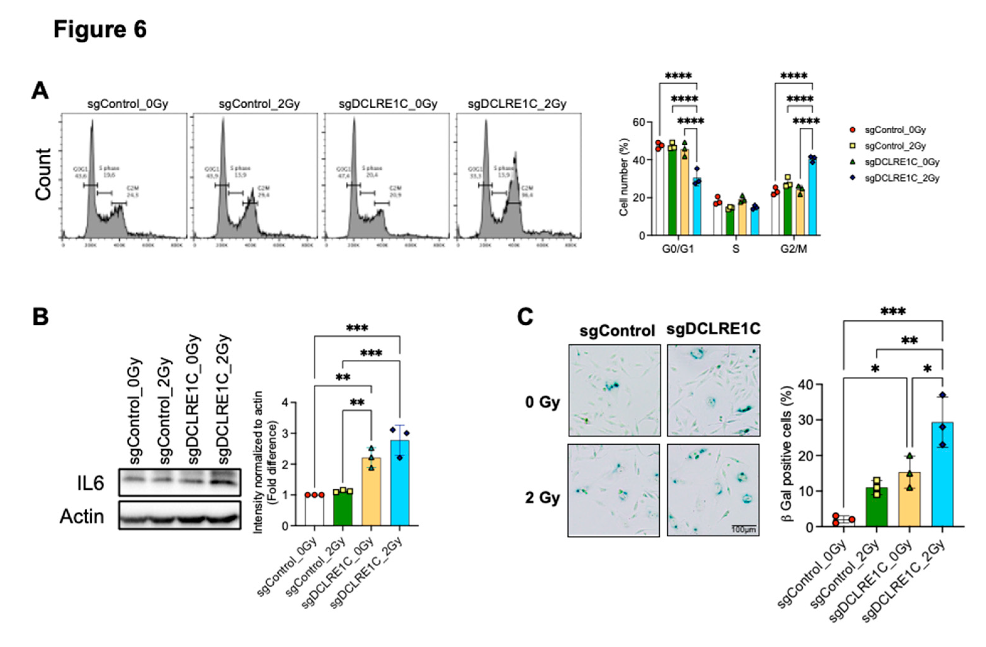 Preprints 153769 g006