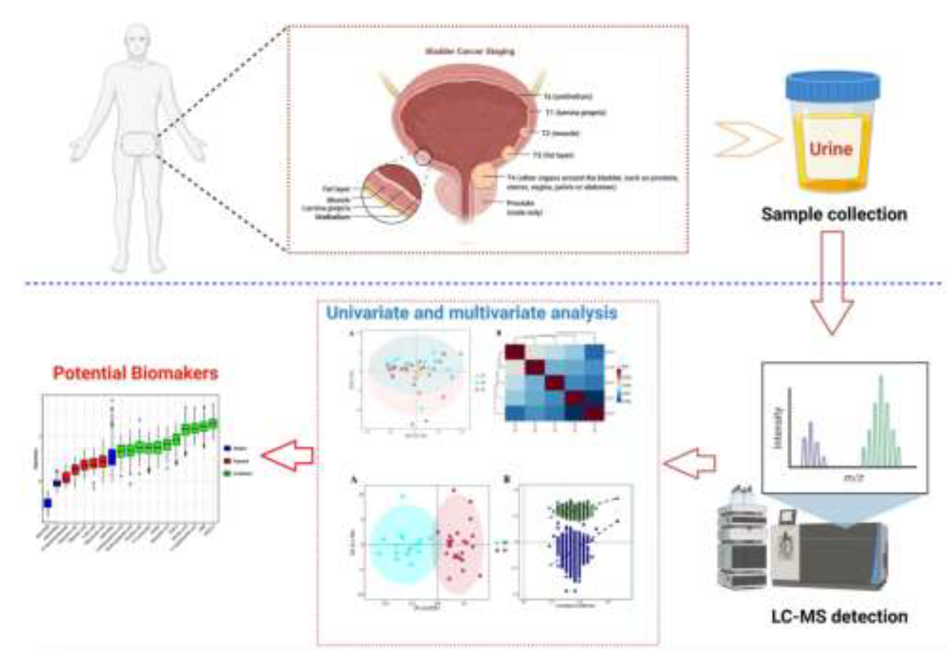 Preprints 195362 g004