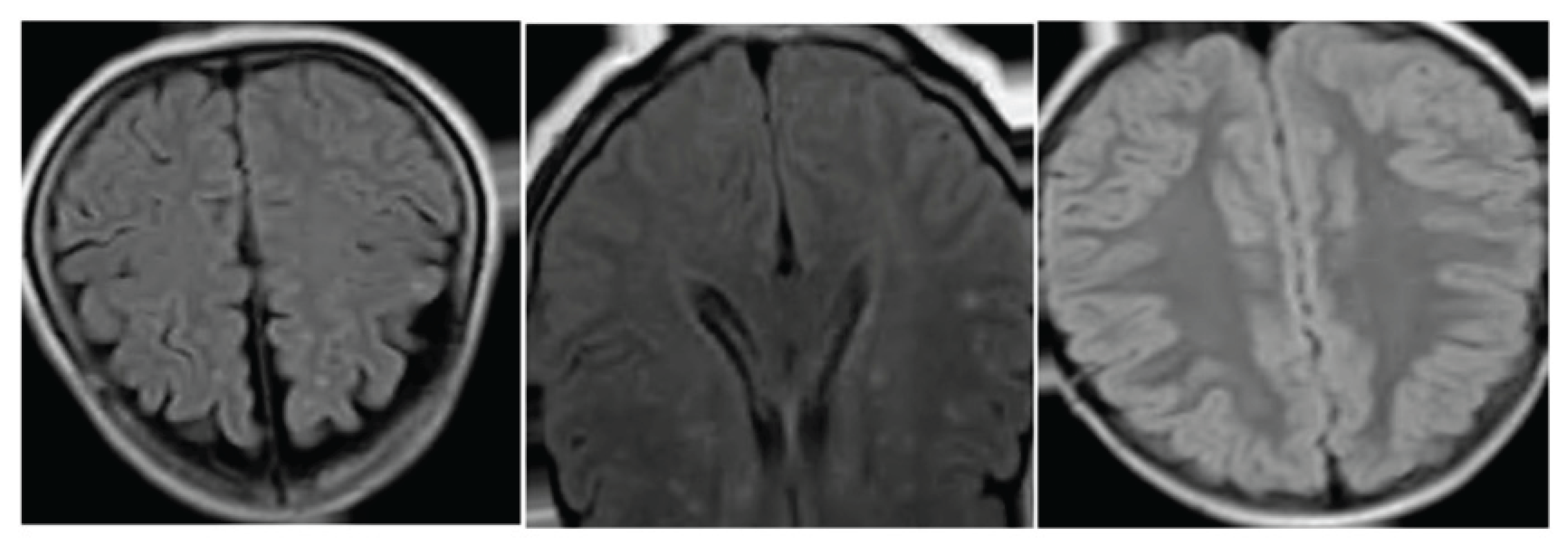 Preprints 191797 g002