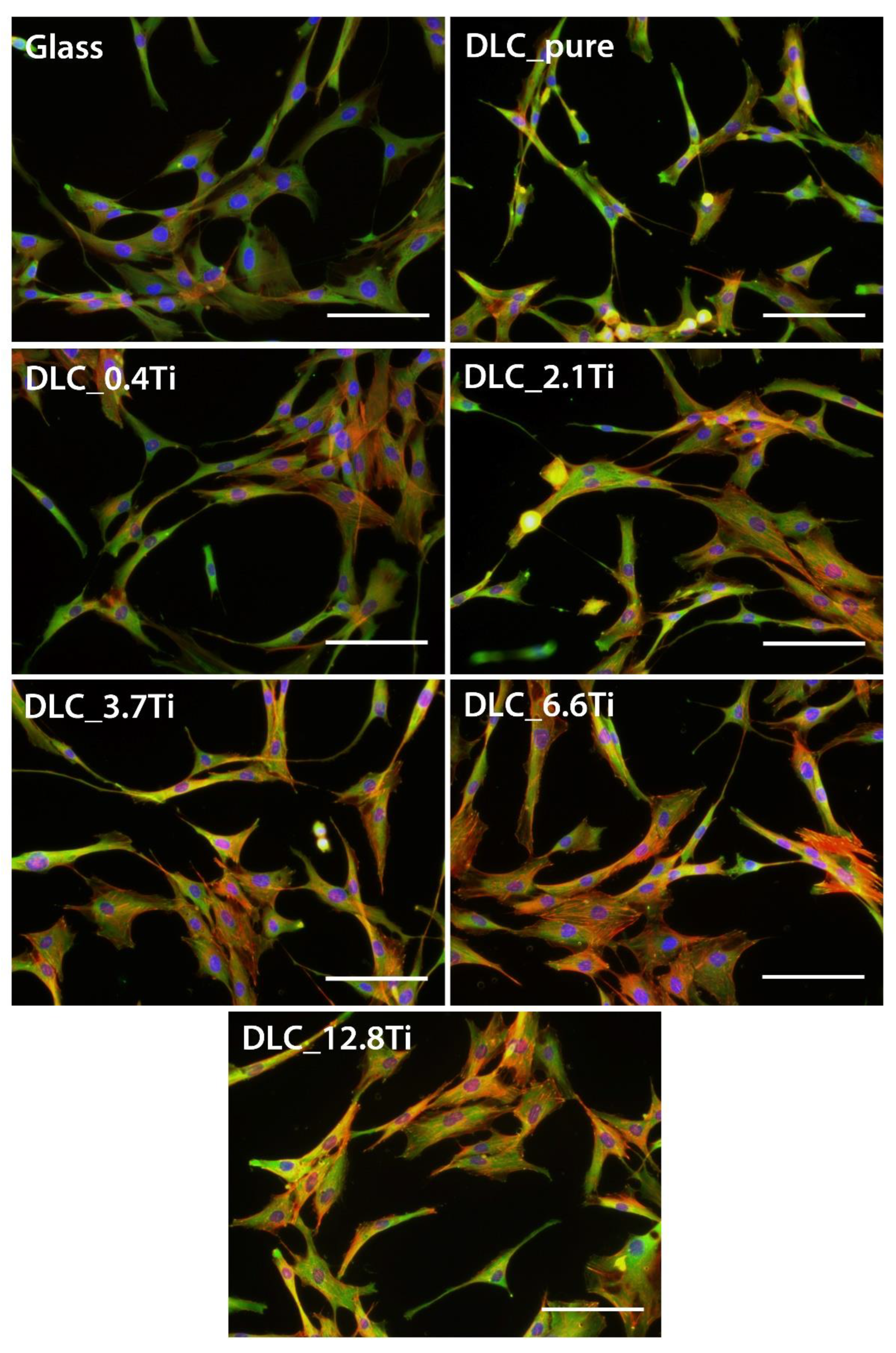 Preprints 97400 g007