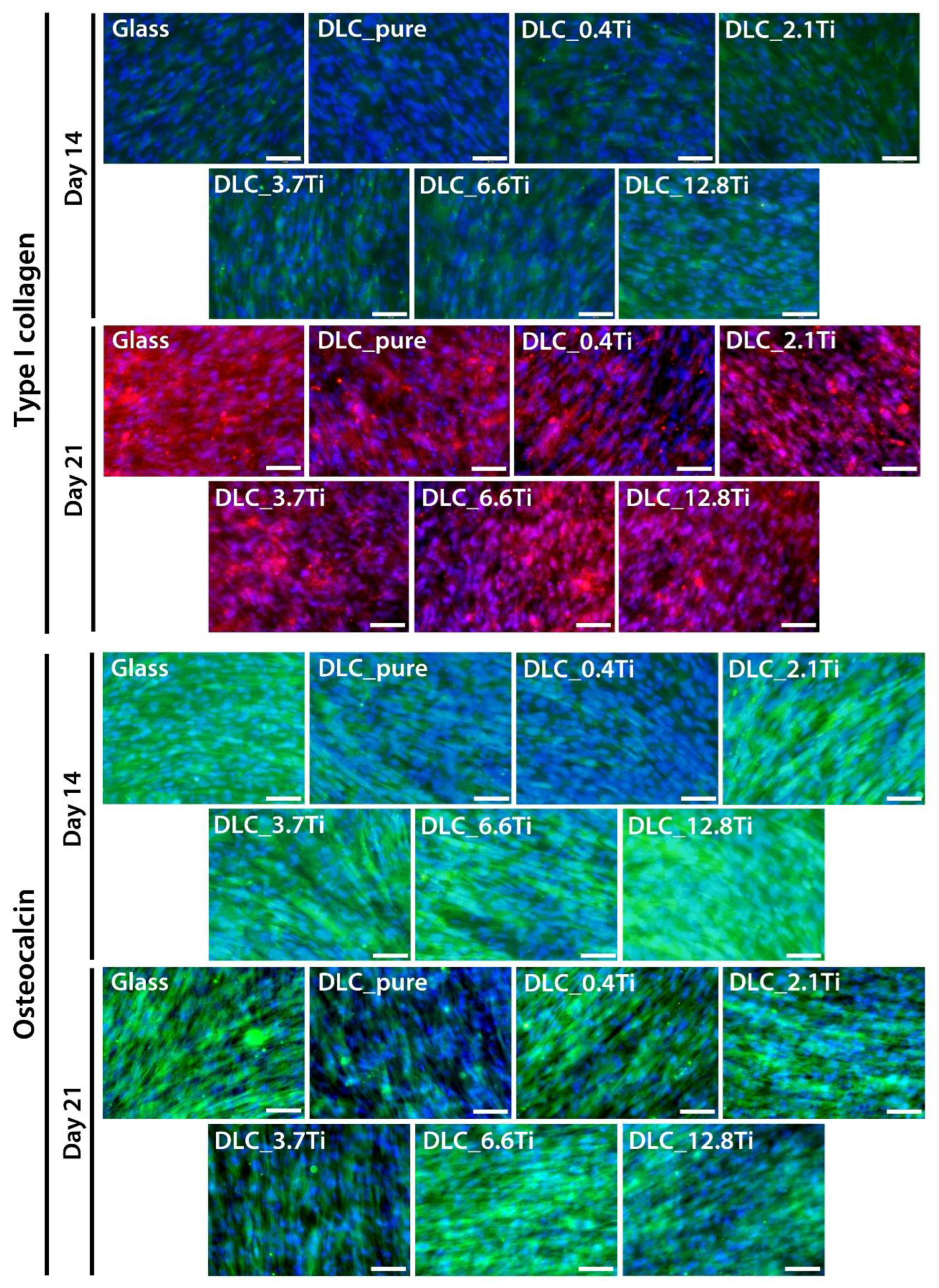 Preprints 97400 g009
