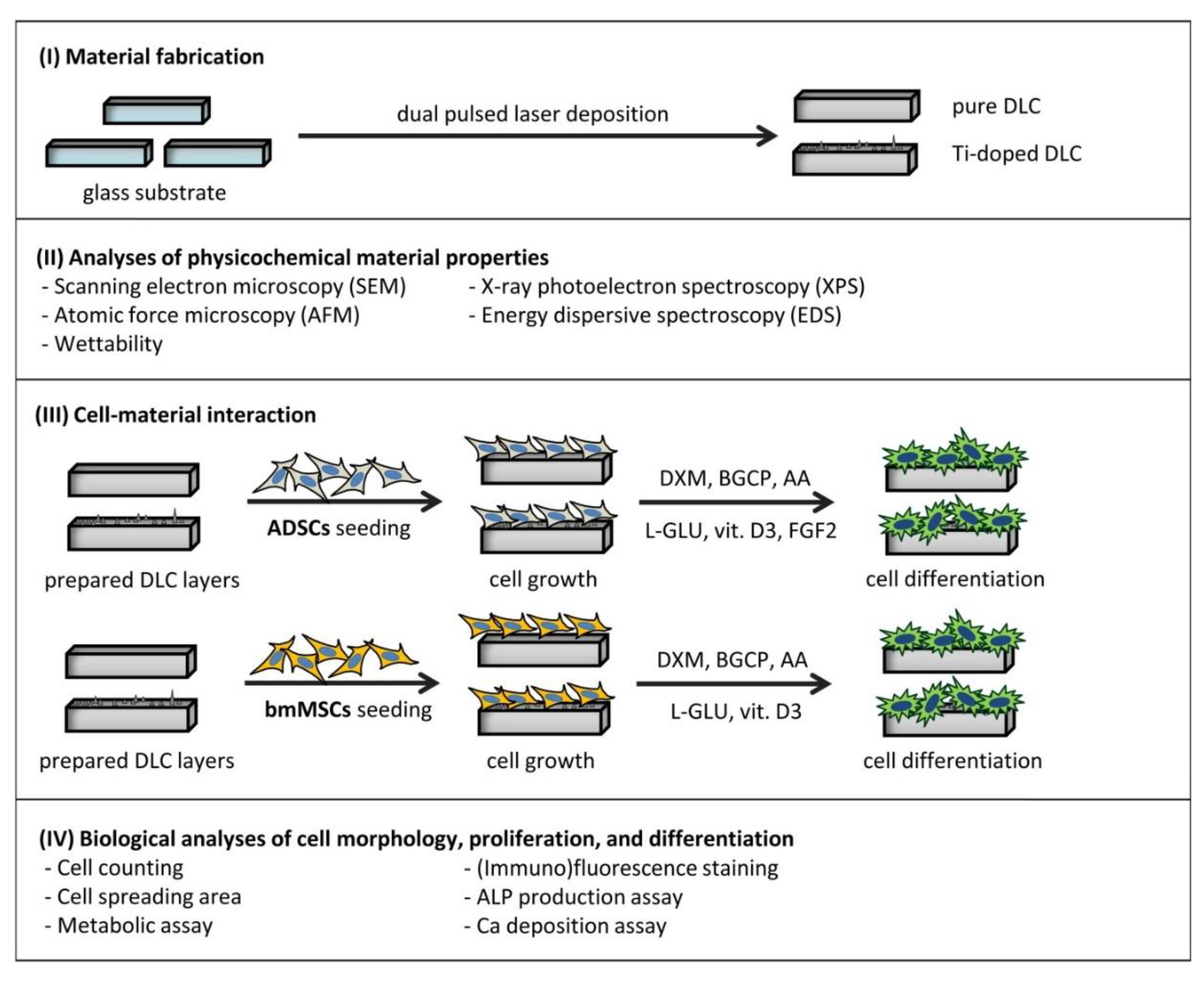 Preprints 97400 sch001