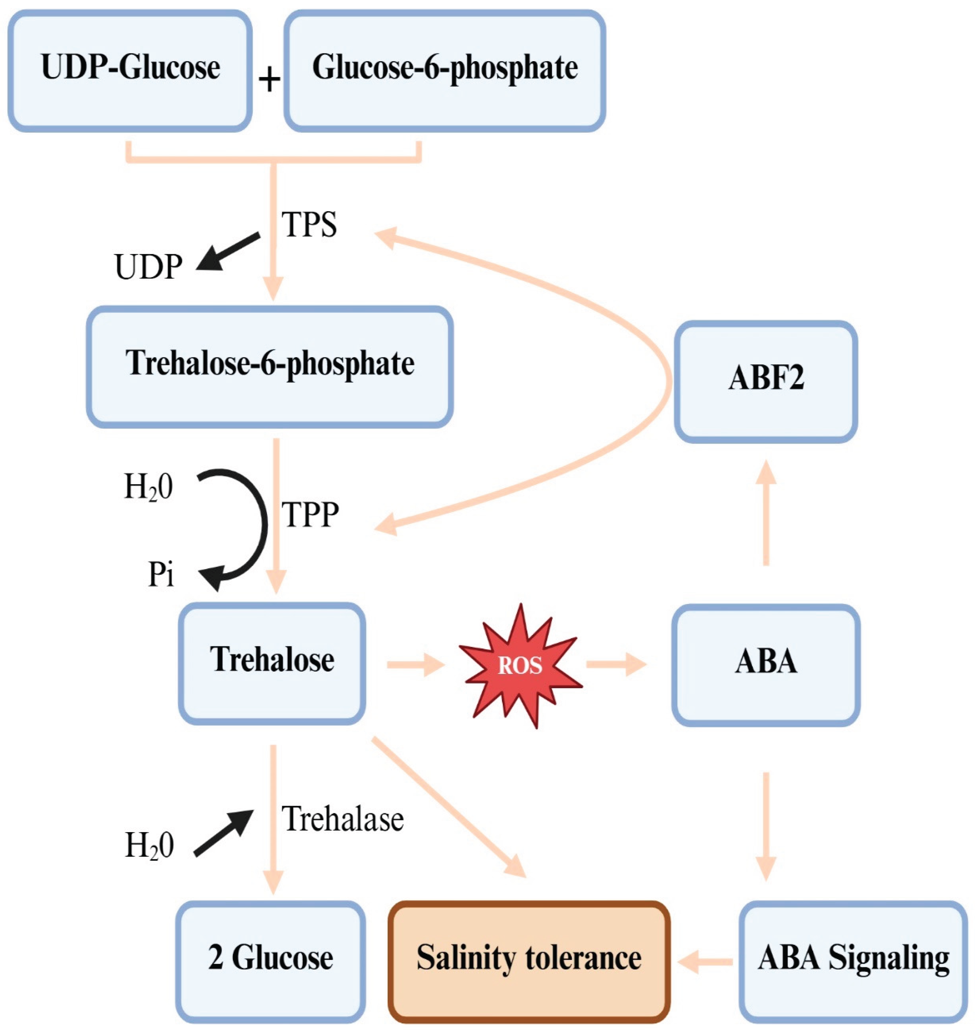 Preprints 187656 g003