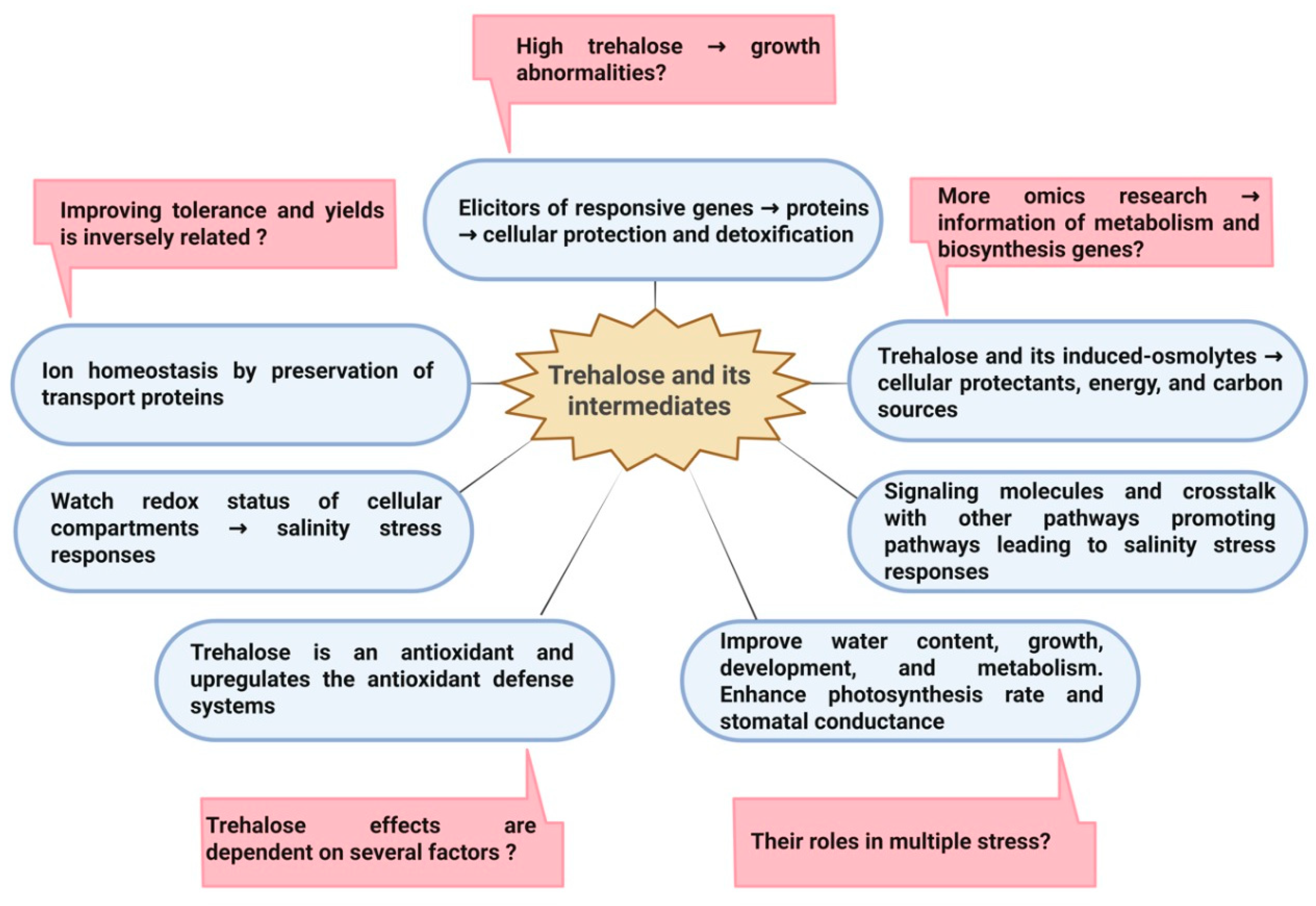 Preprints 187656 g004