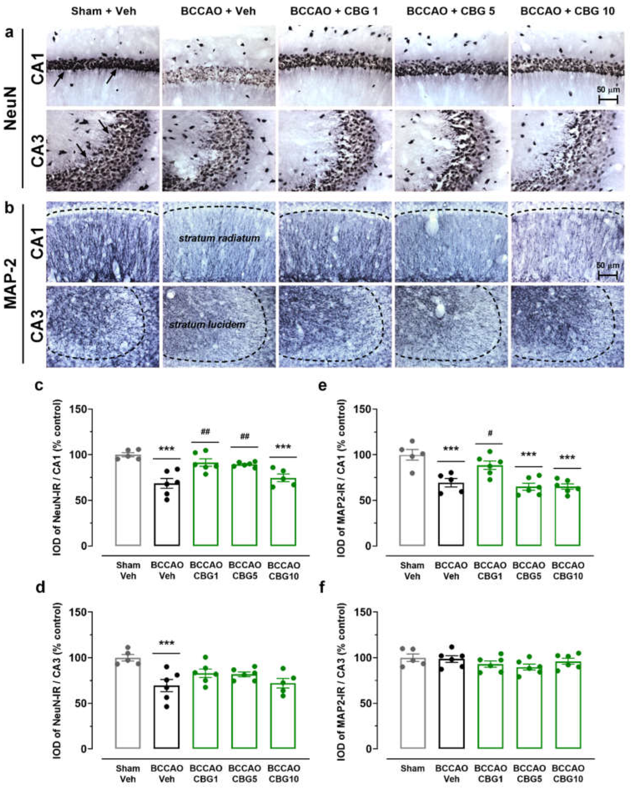 Preprints 153739 g002