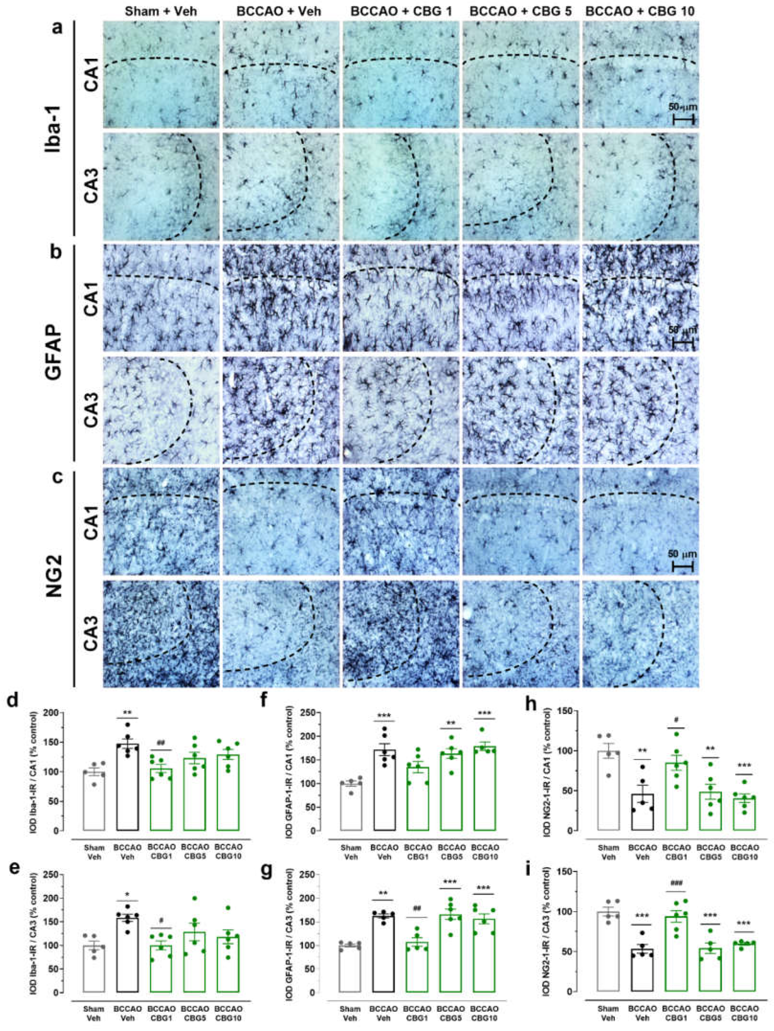 Preprints 153739 g003