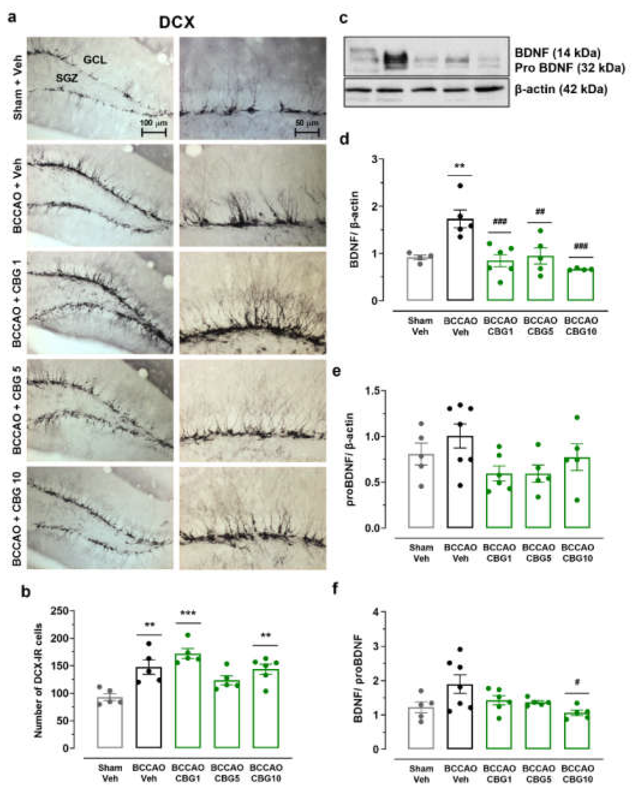 Preprints 153739 g004