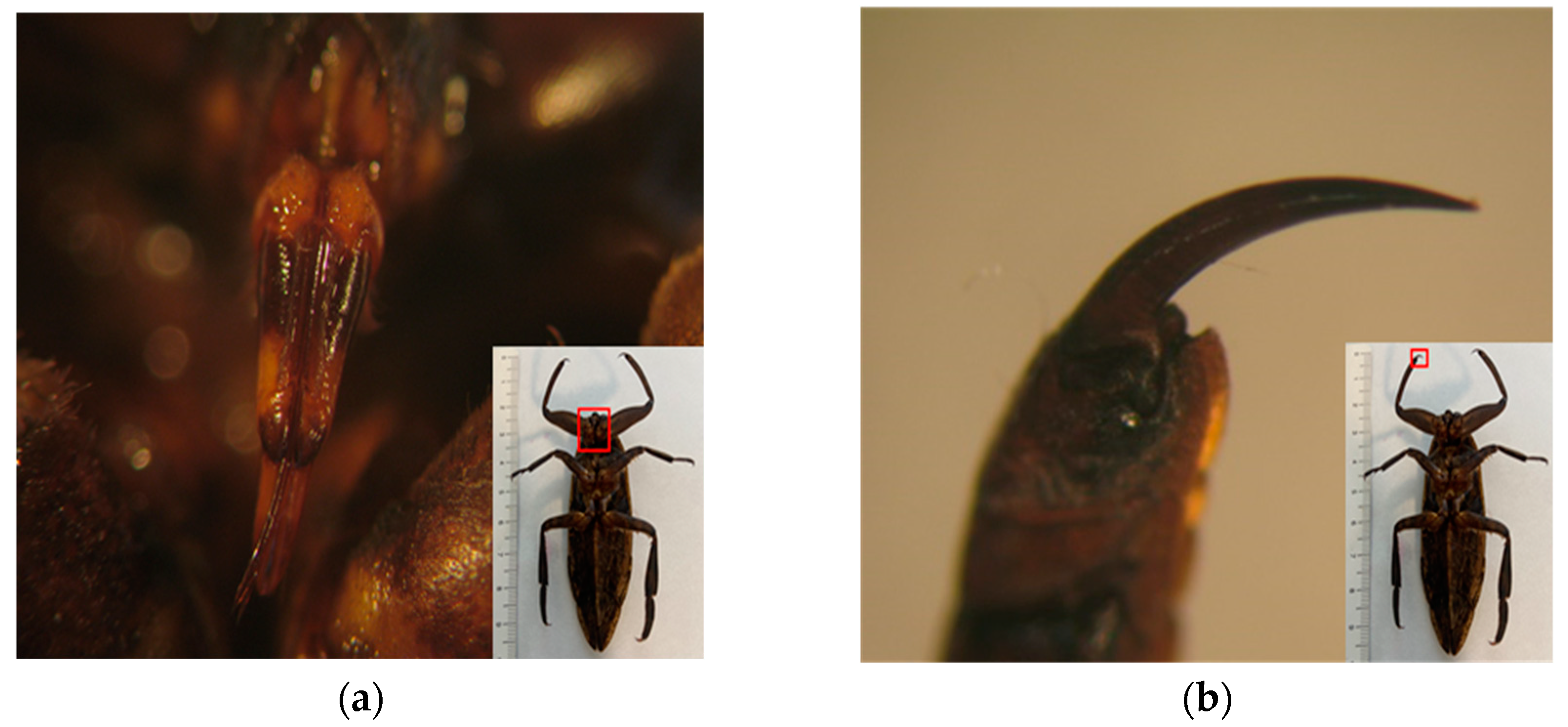 Preprints 139670 g002