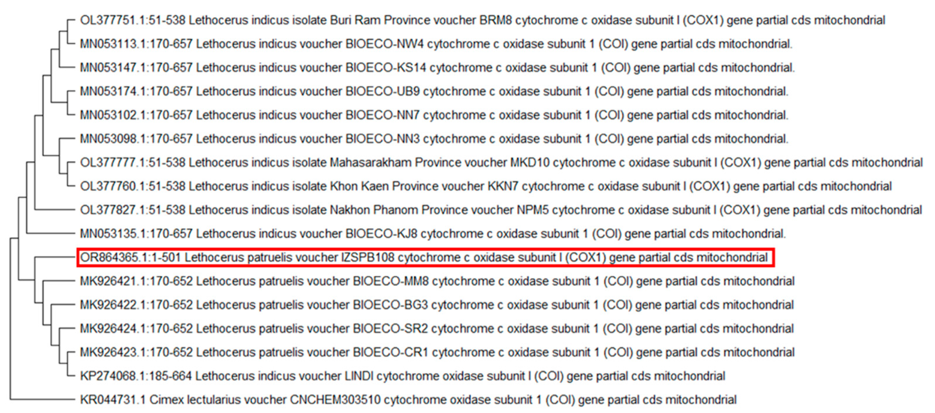 Preprints 139670 g003