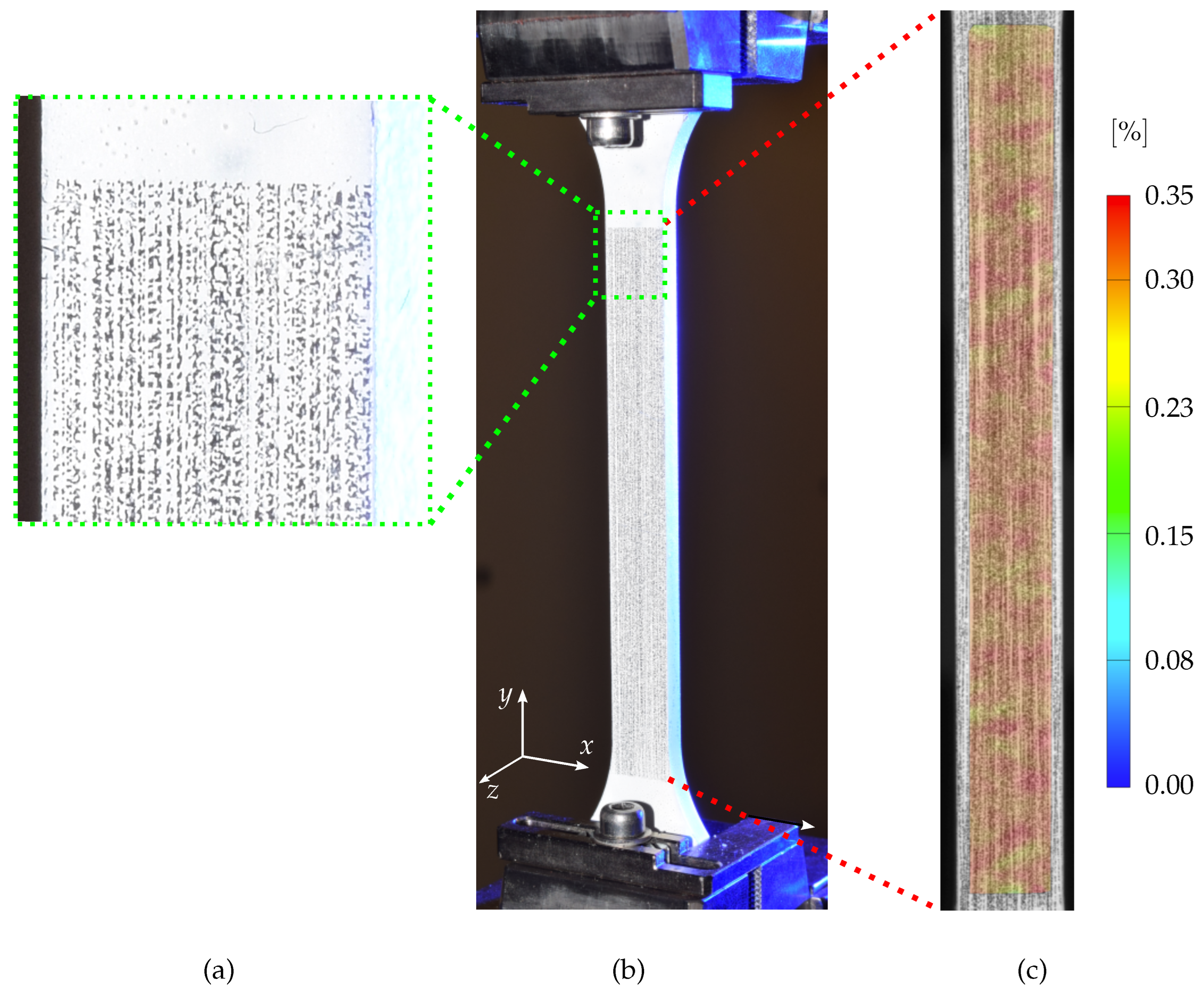 Preprints 163543 g006