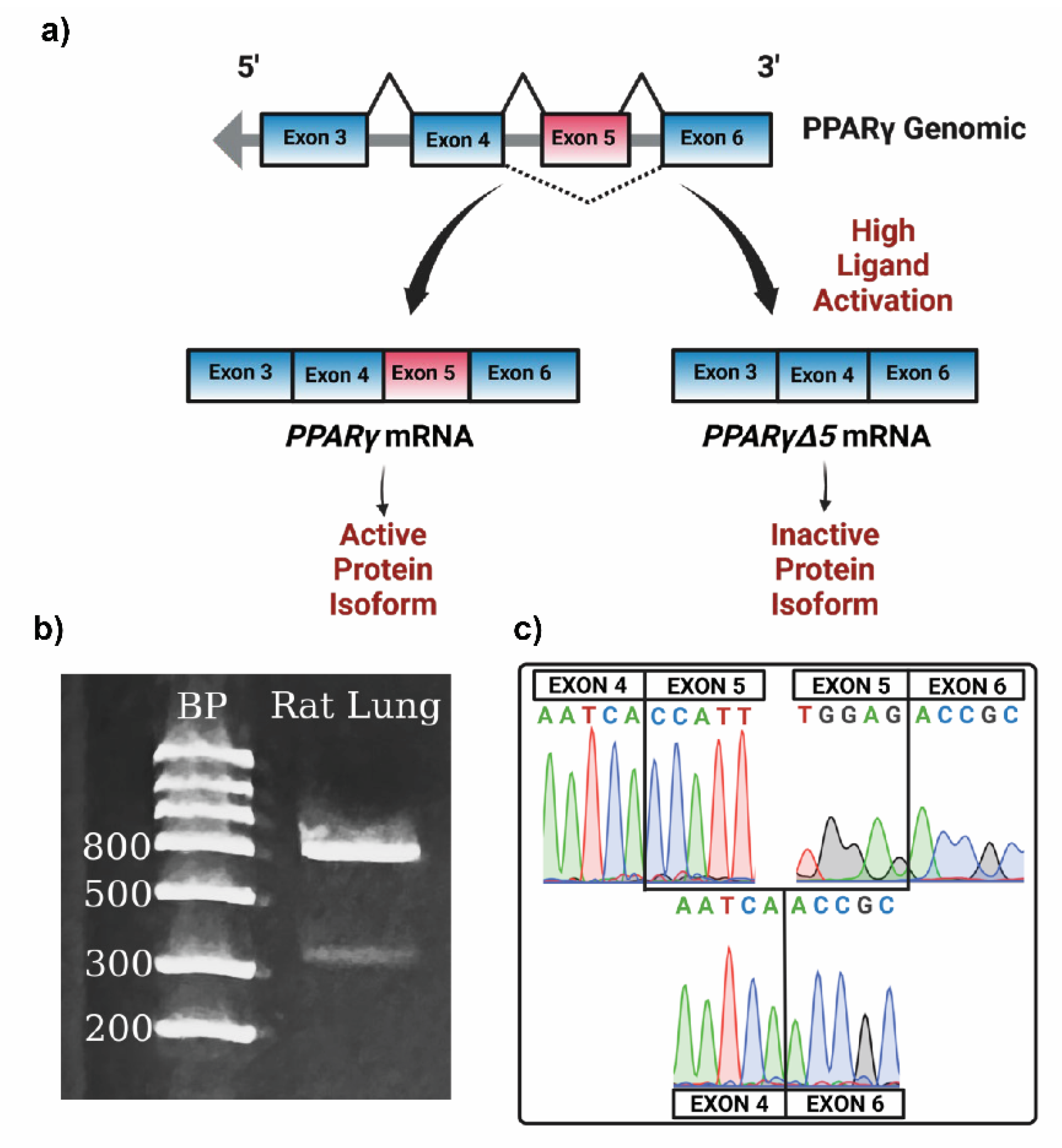 Preprints 151804 g002