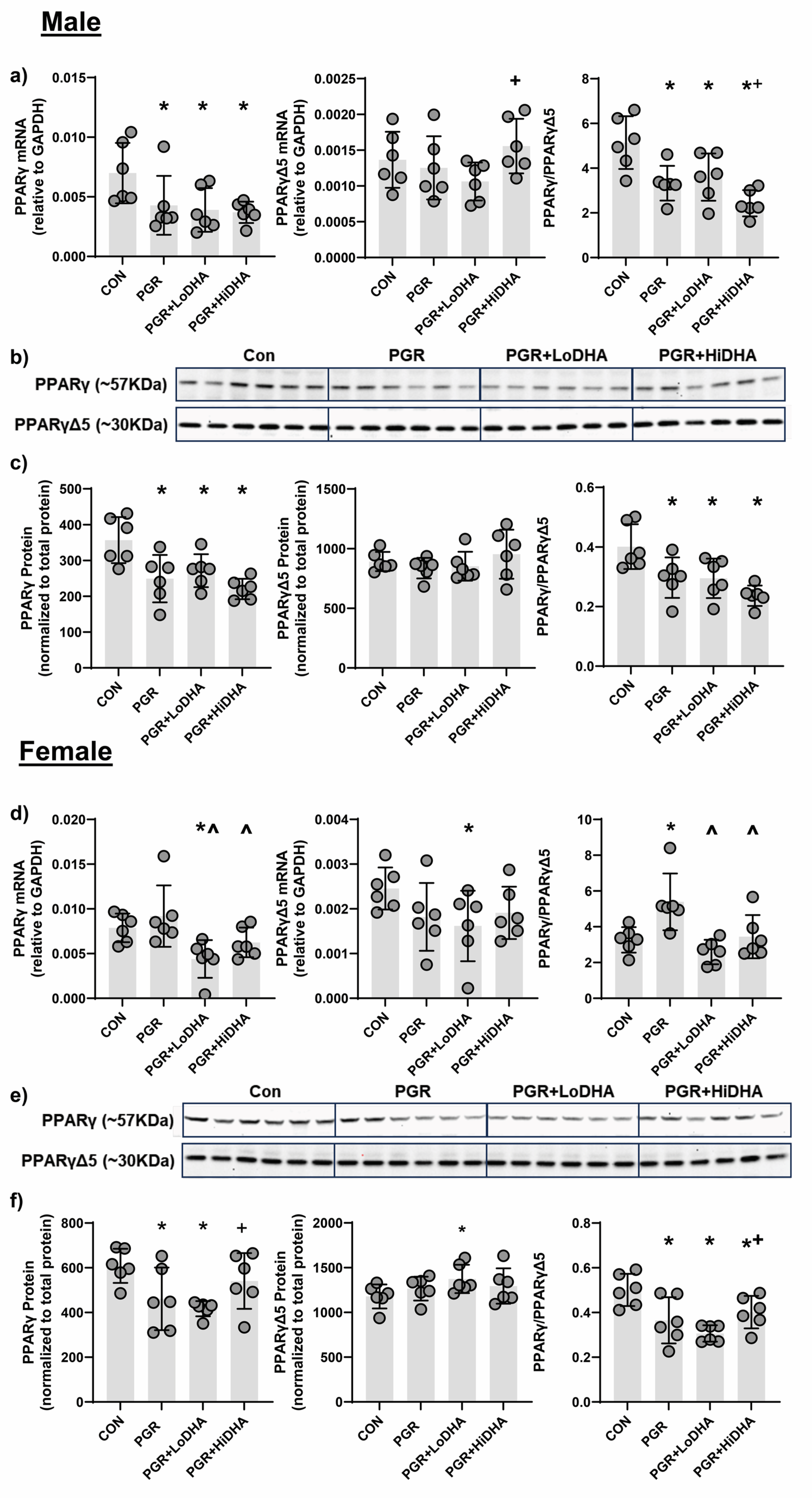 Preprints 151804 g003