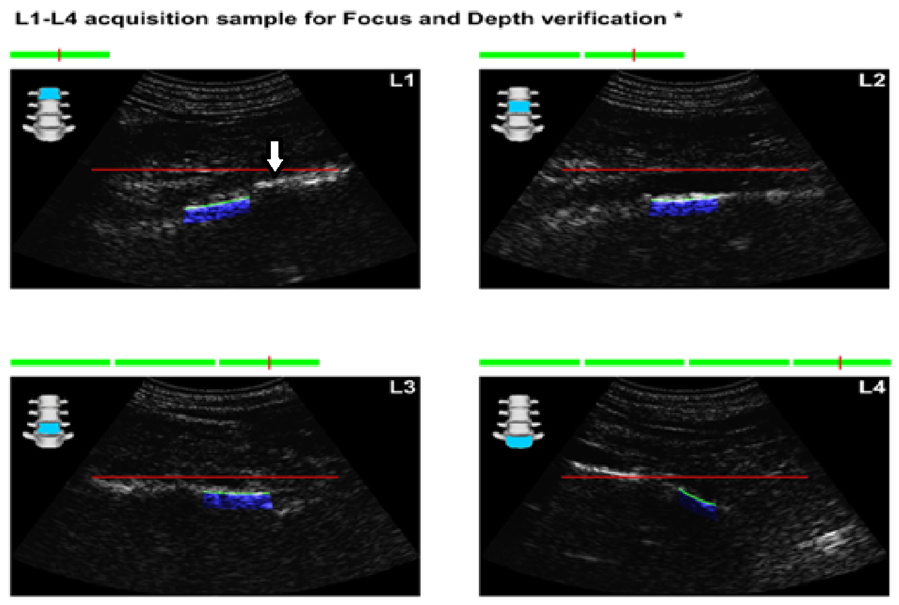 Preprints 156742 g001