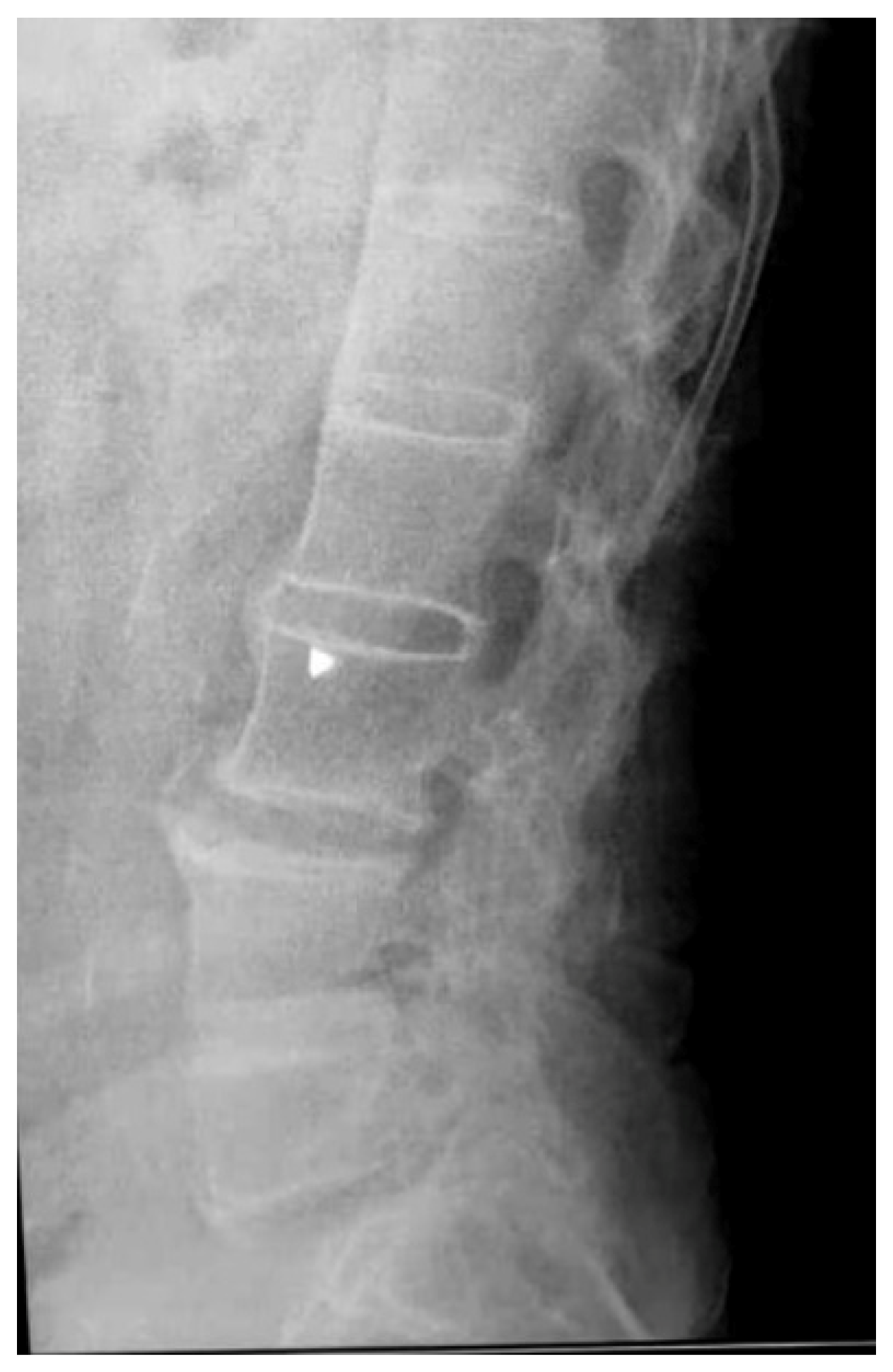 Preprints 156742 g002