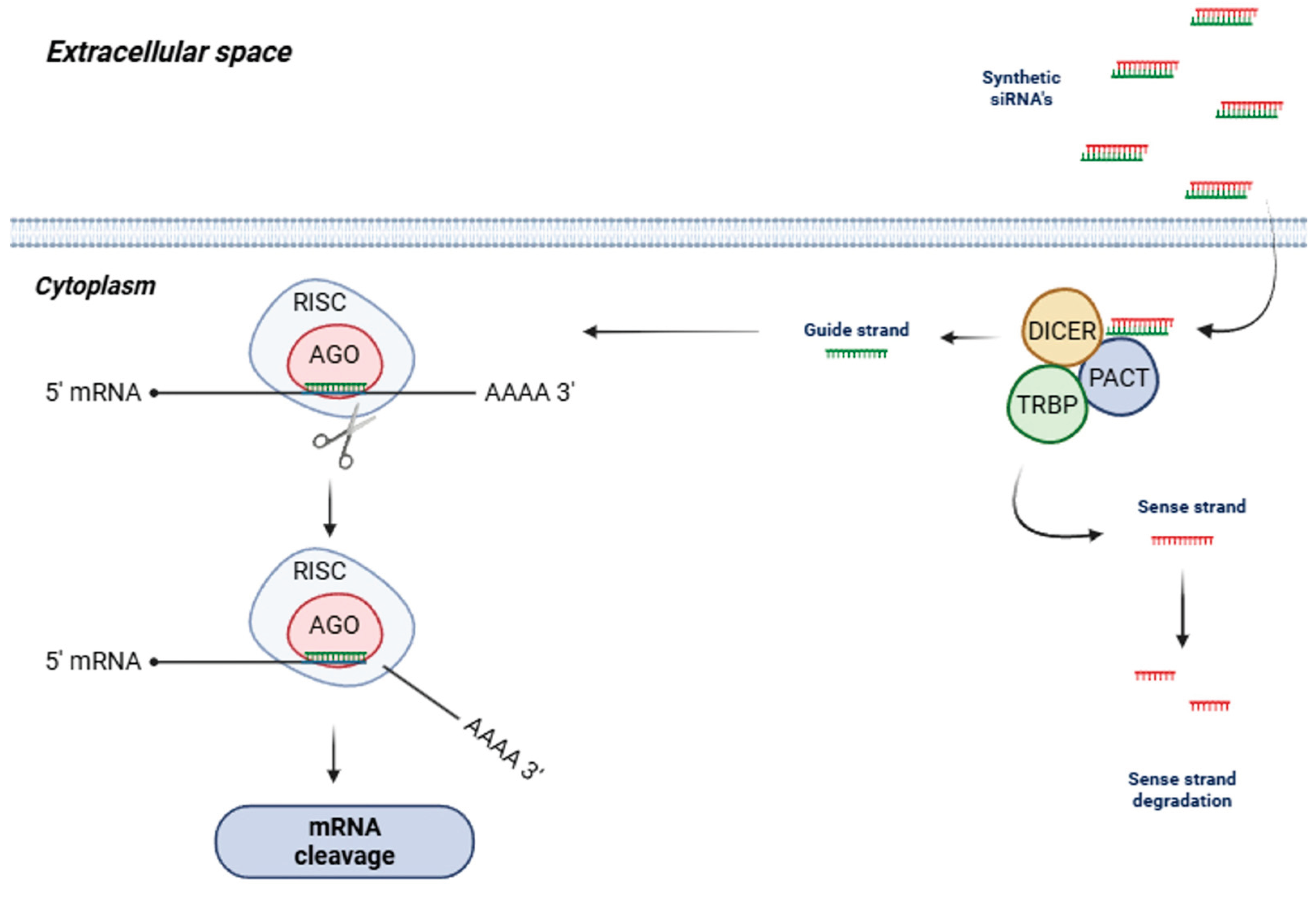 Preprints 167358 g001
