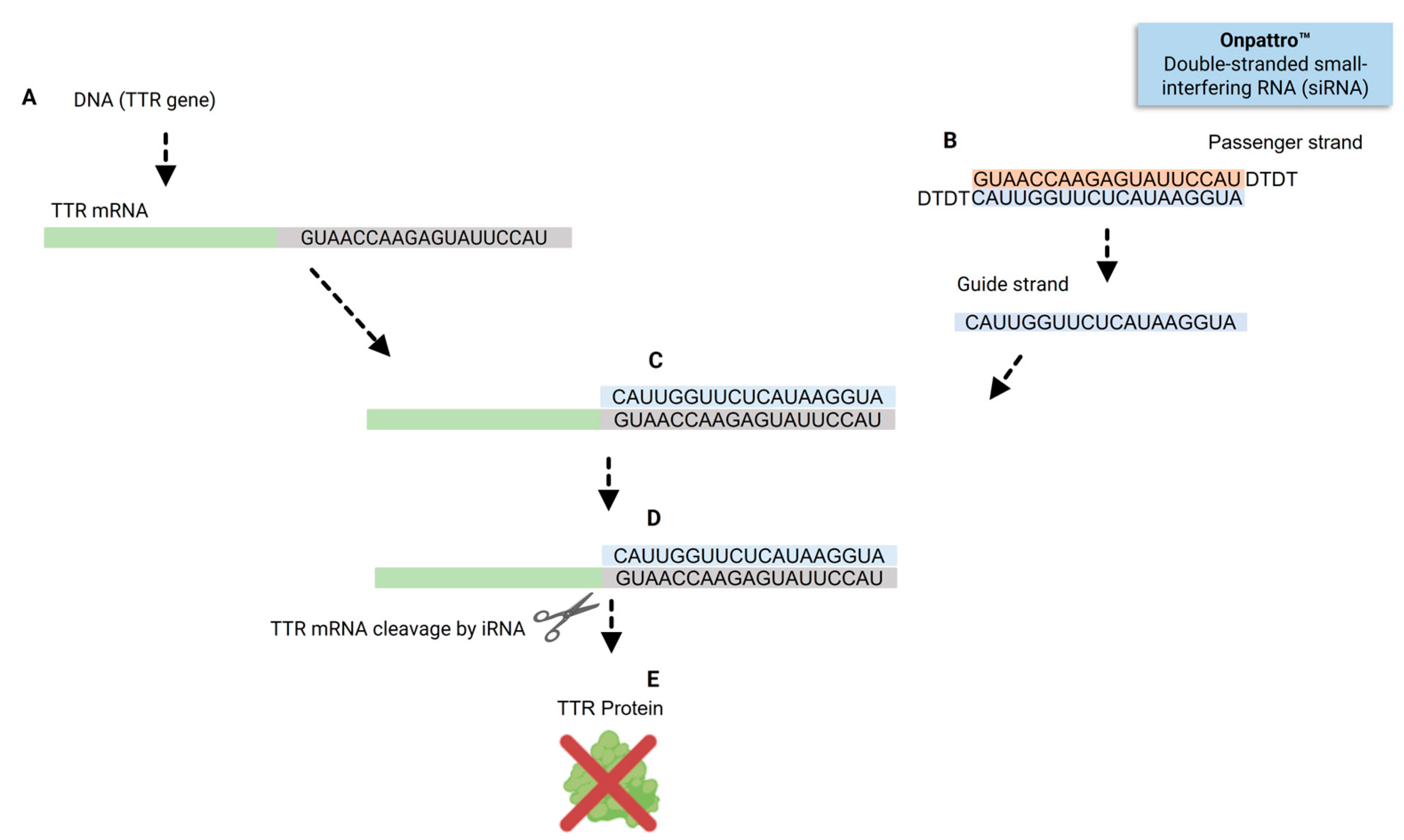 Preprints 167358 g002