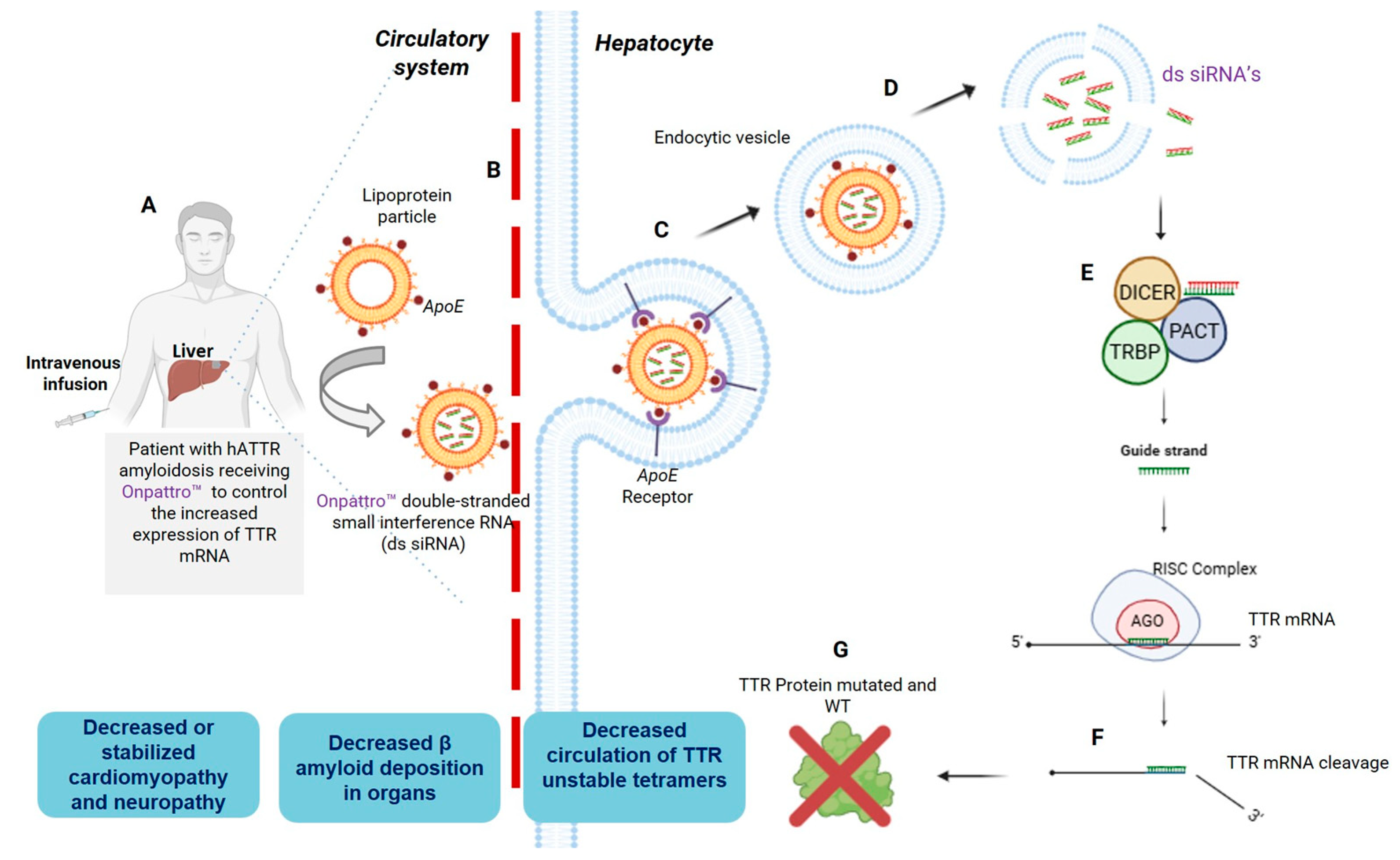 Preprints 167358 g003