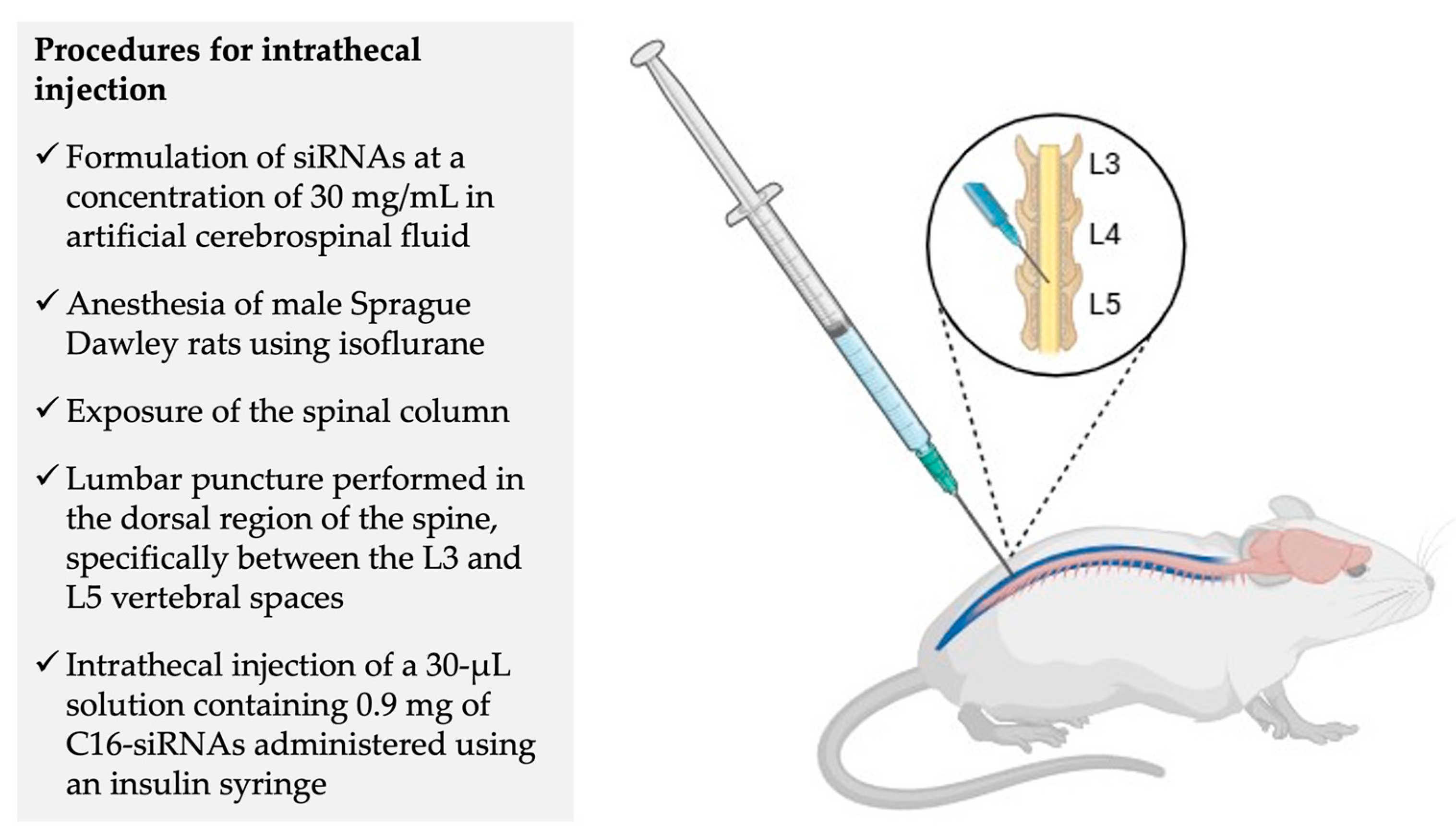 Preprints 167358 g009