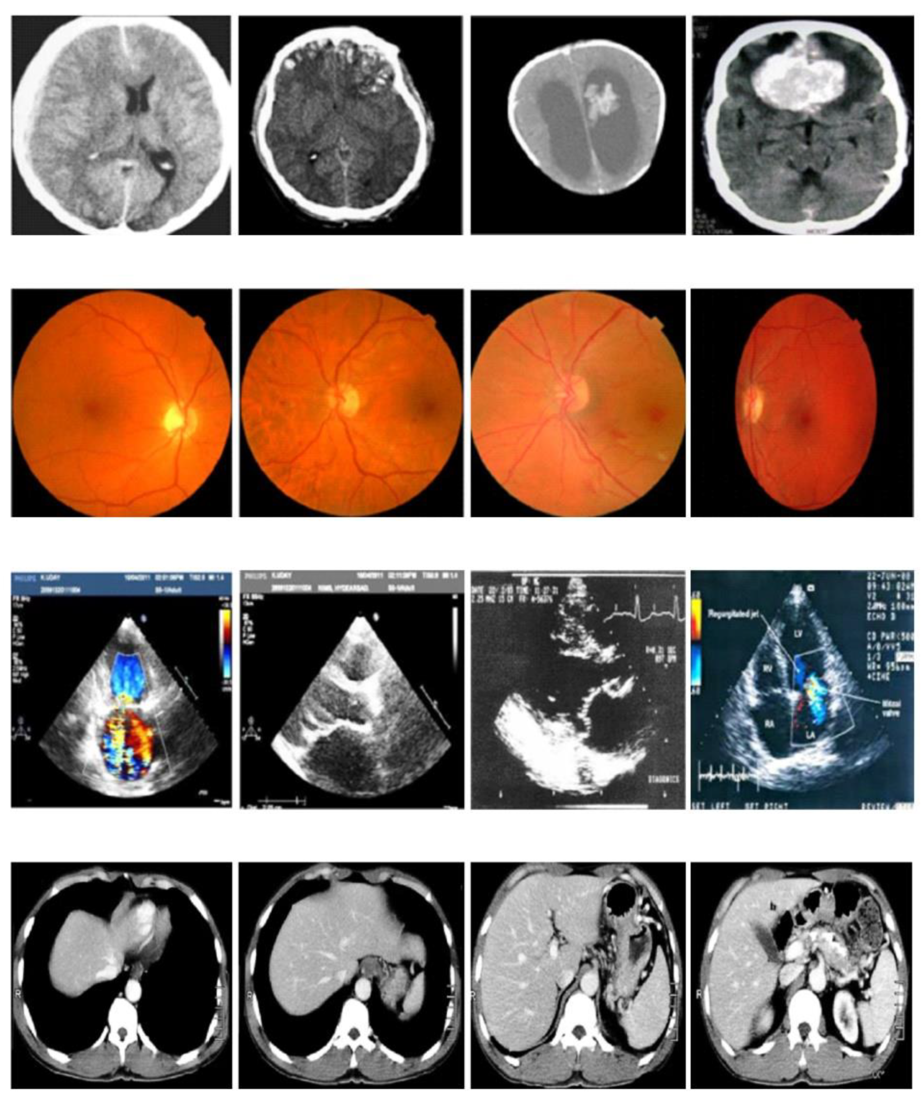 Preprints 147816 g002