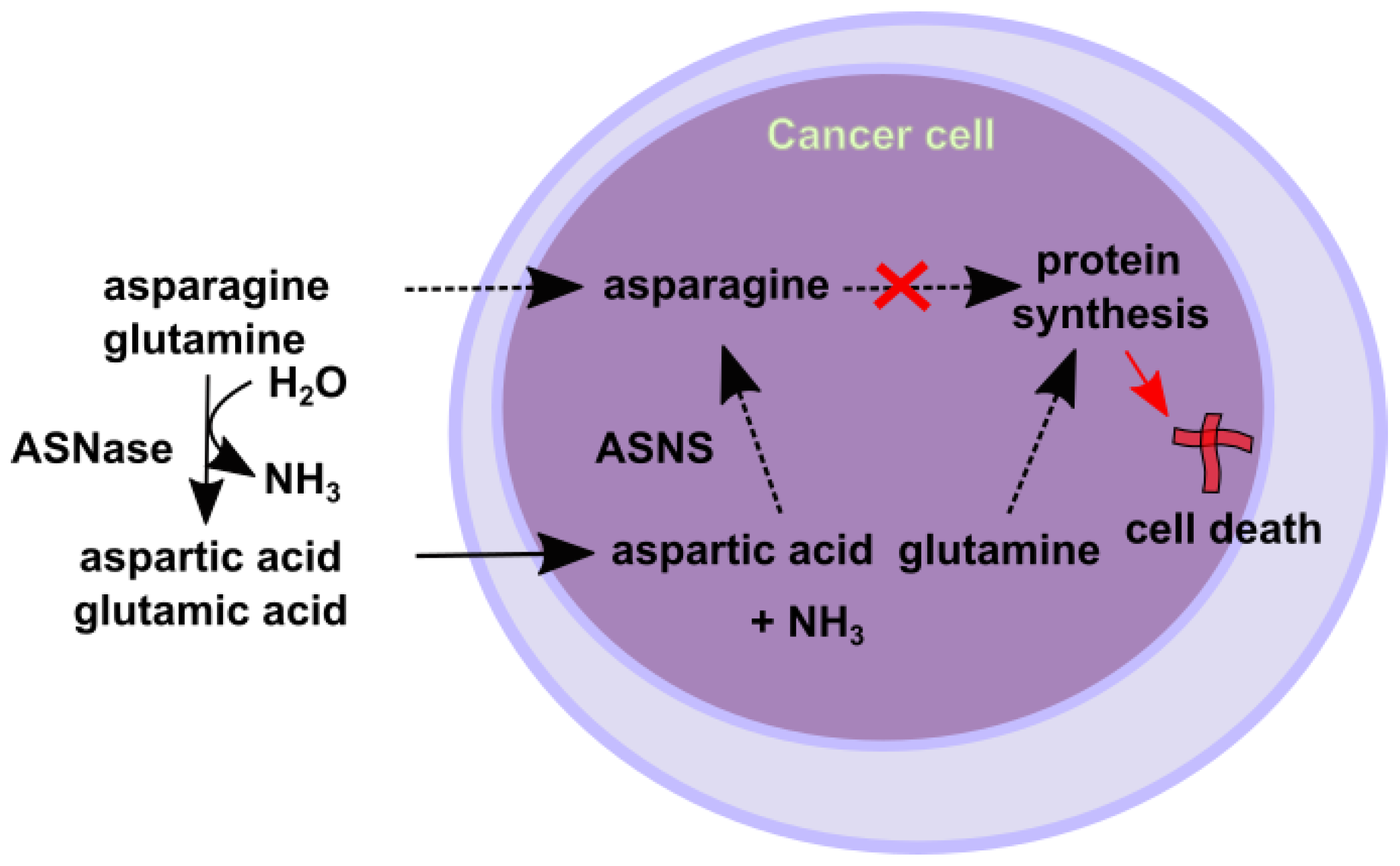 Preprints 140198 g002