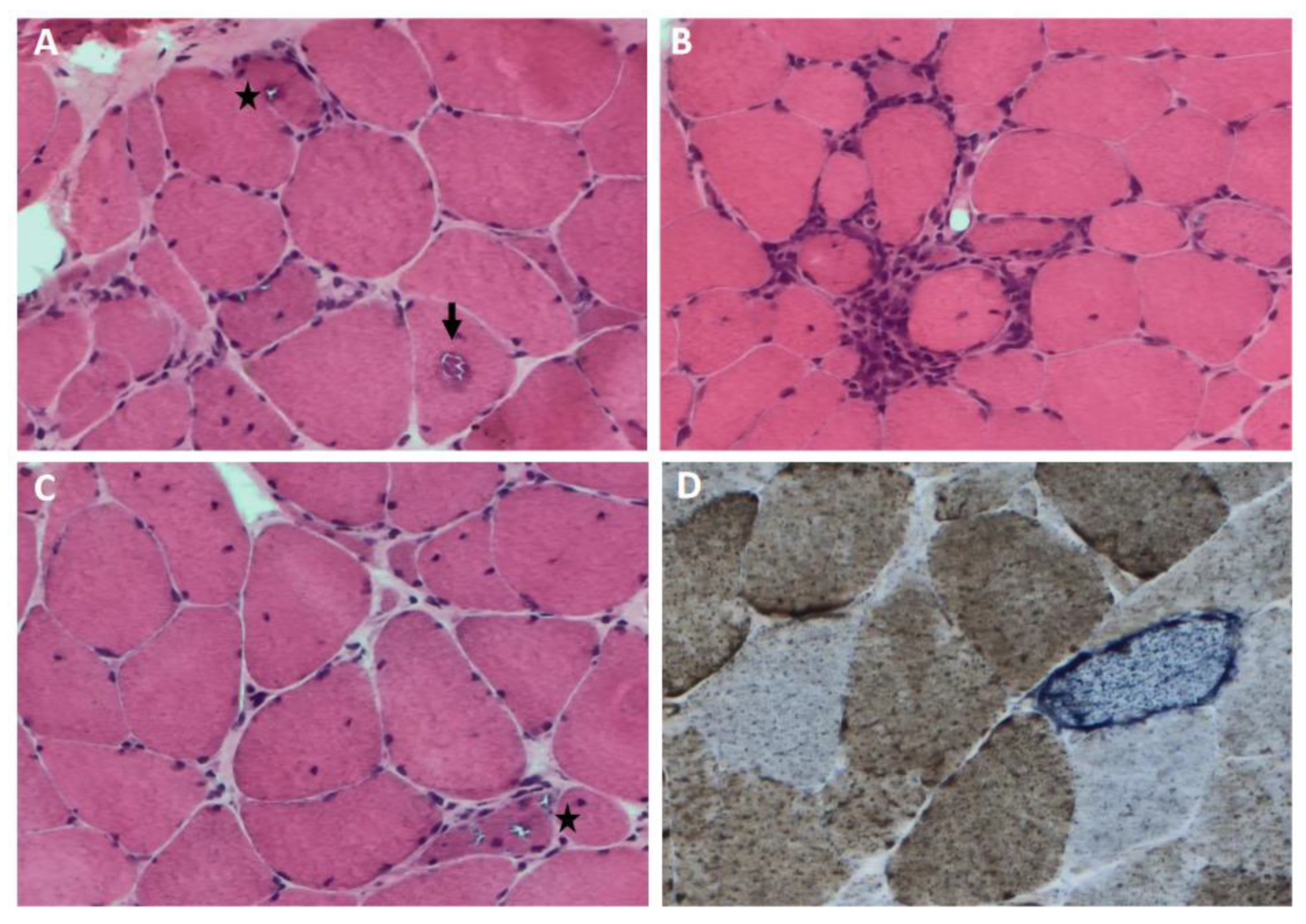 Preprints 94838 g001