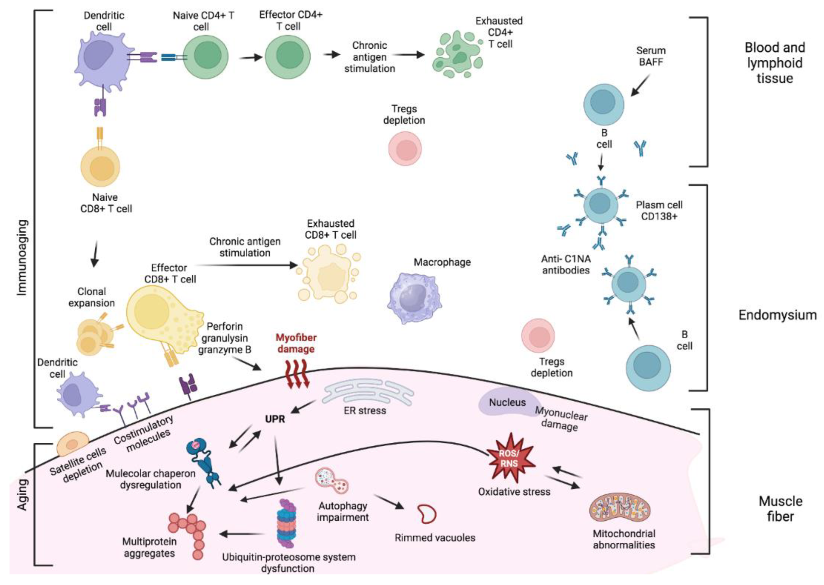 Preprints 94838 g002