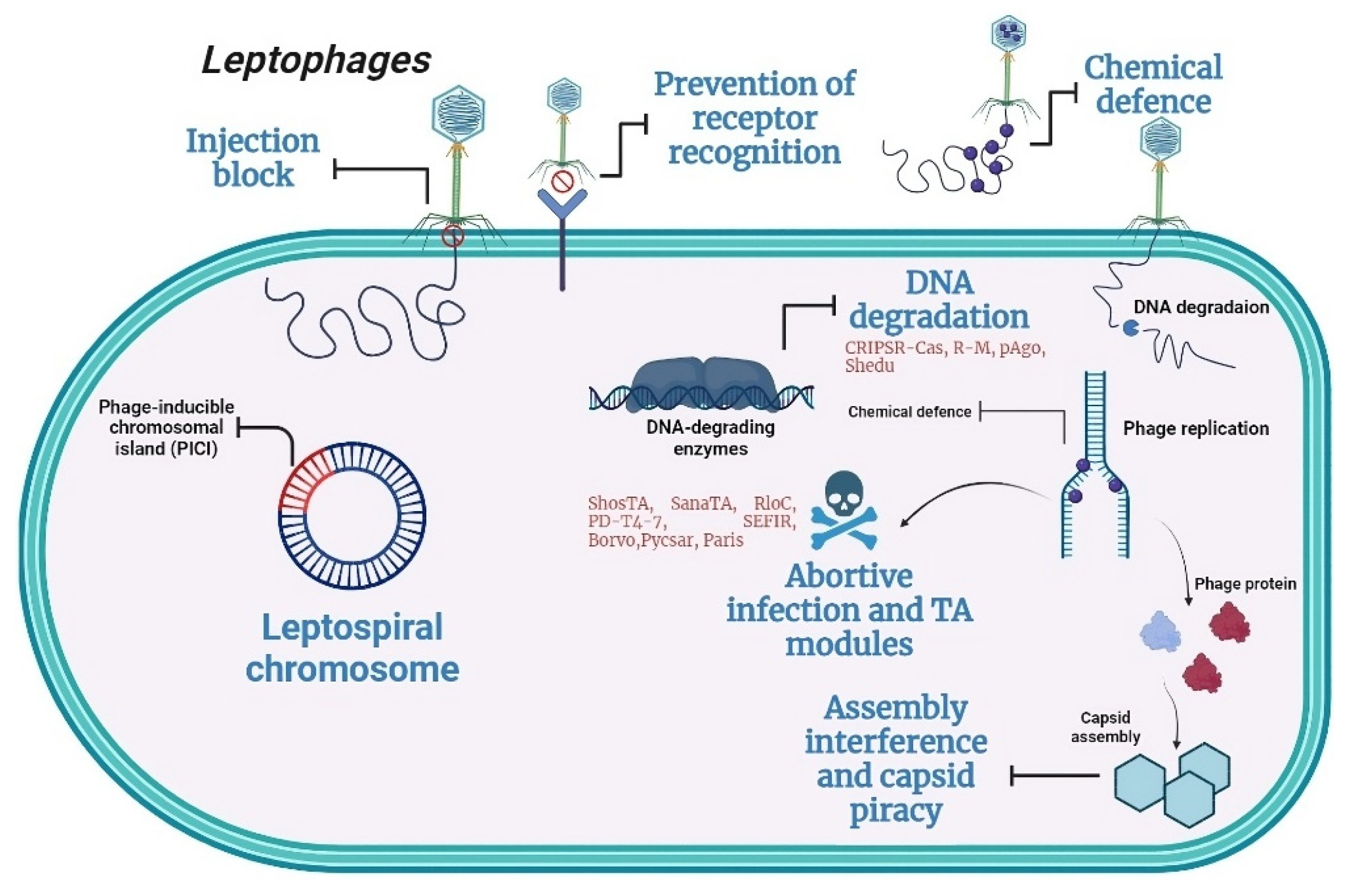 Preprints 102114 g004