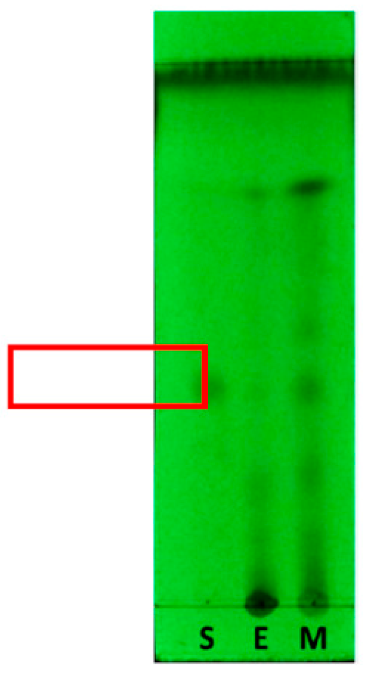 Preprints 80635 g001