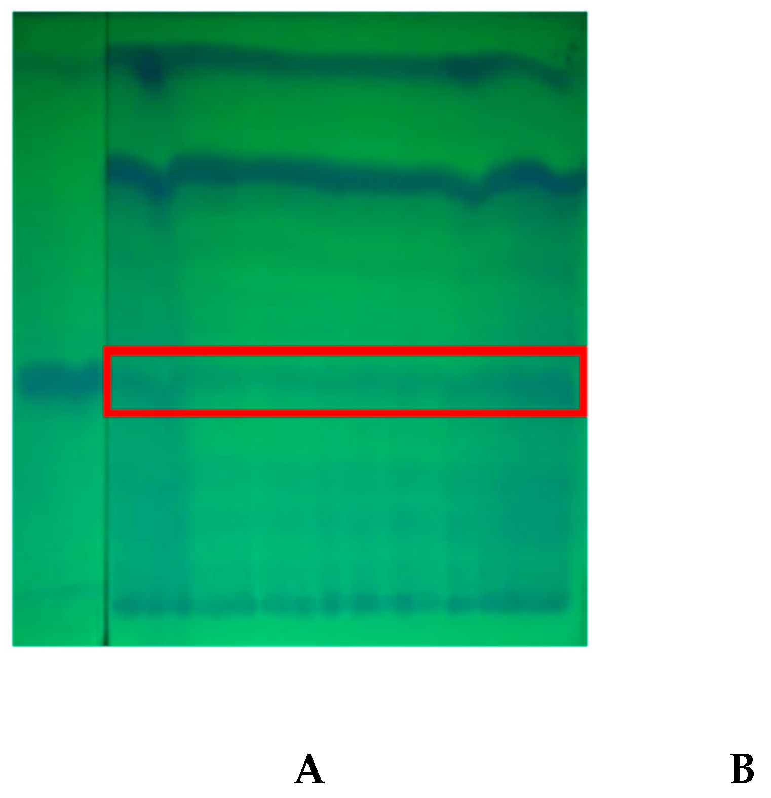 Preprints 80635 g003