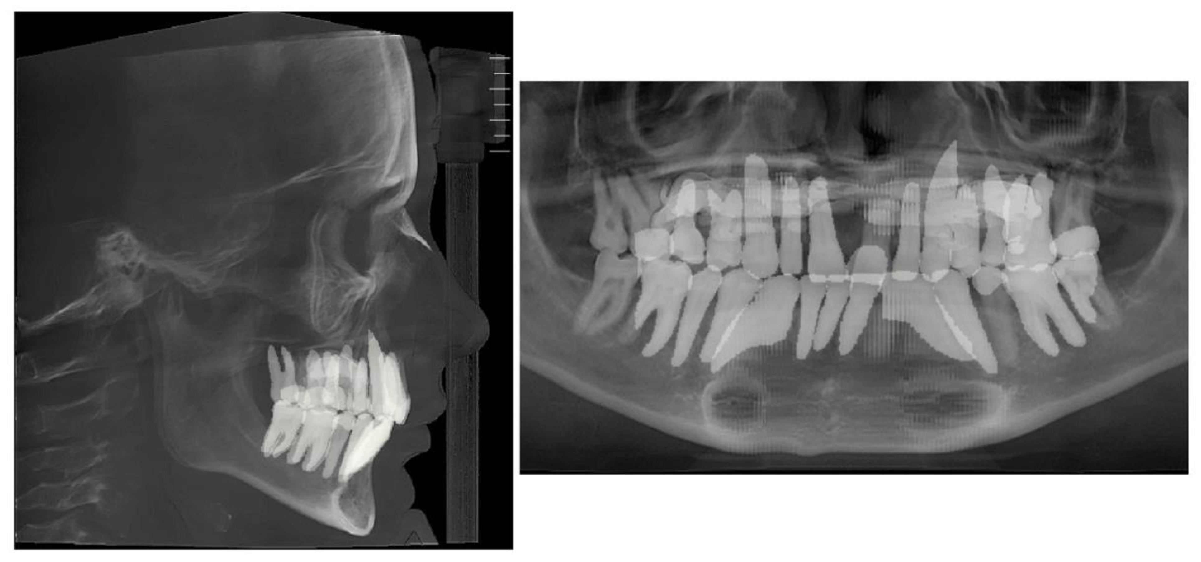 Preprints 177474 g009