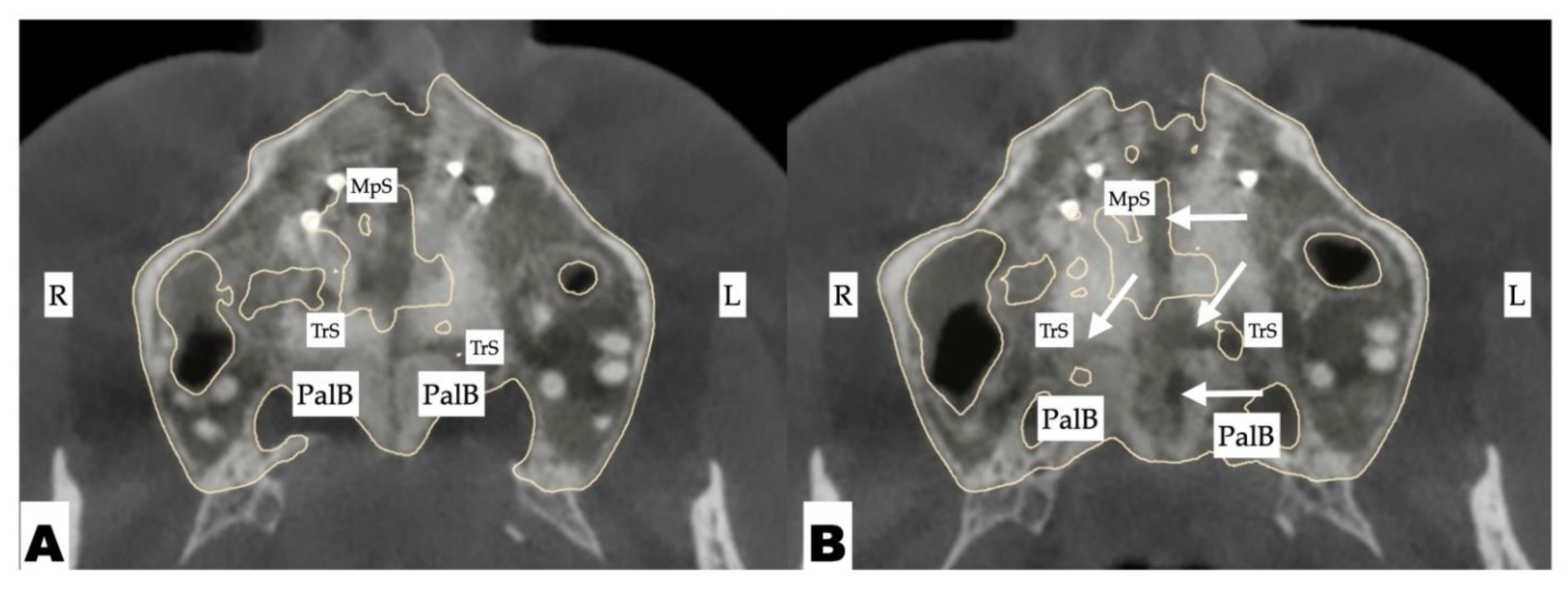 Preprints 177474 g012