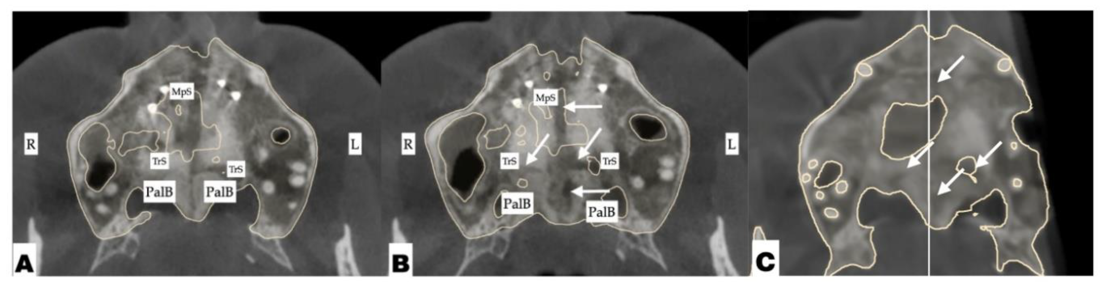 Preprints 177474 g016