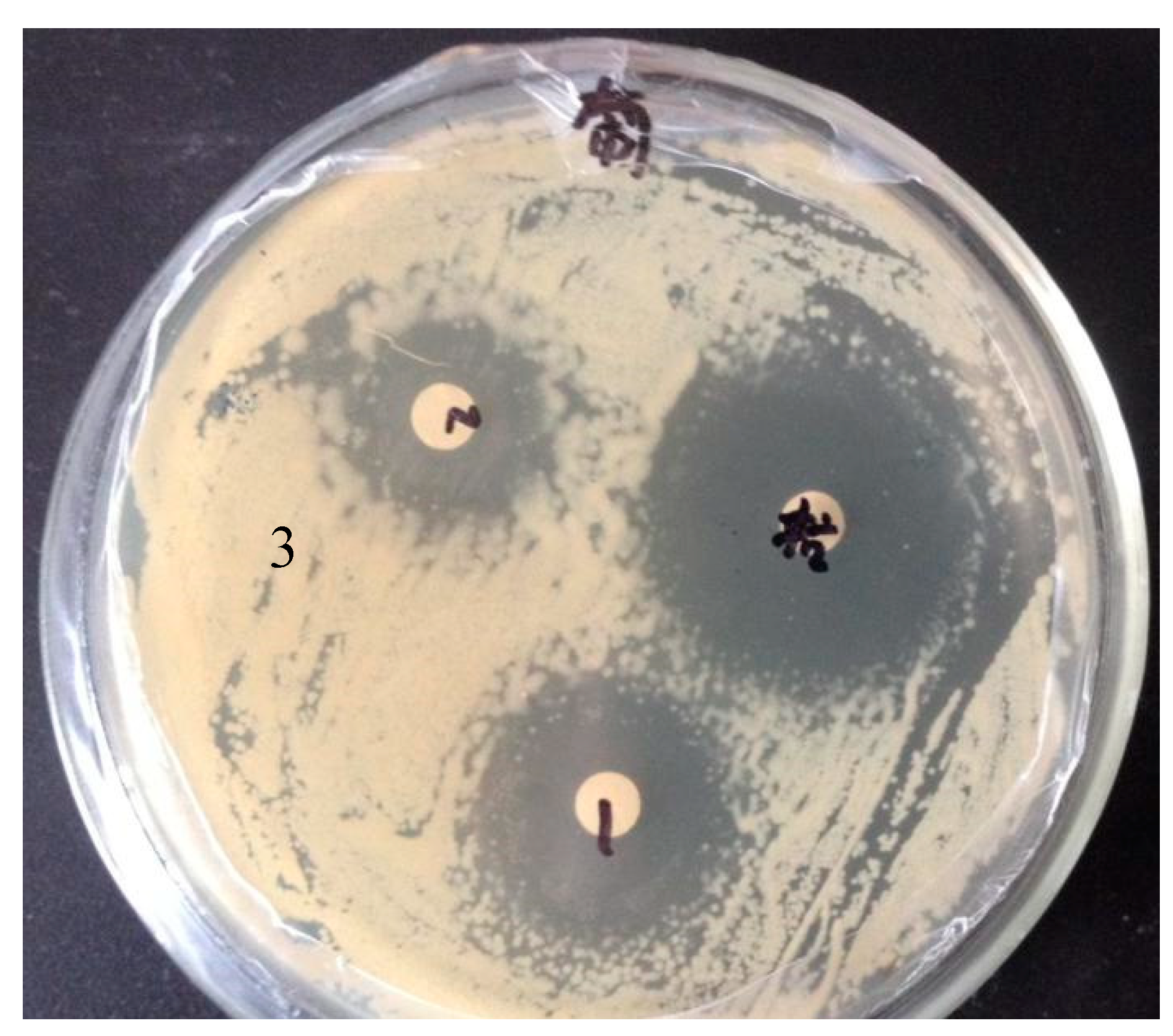 Preprints 90938 g002