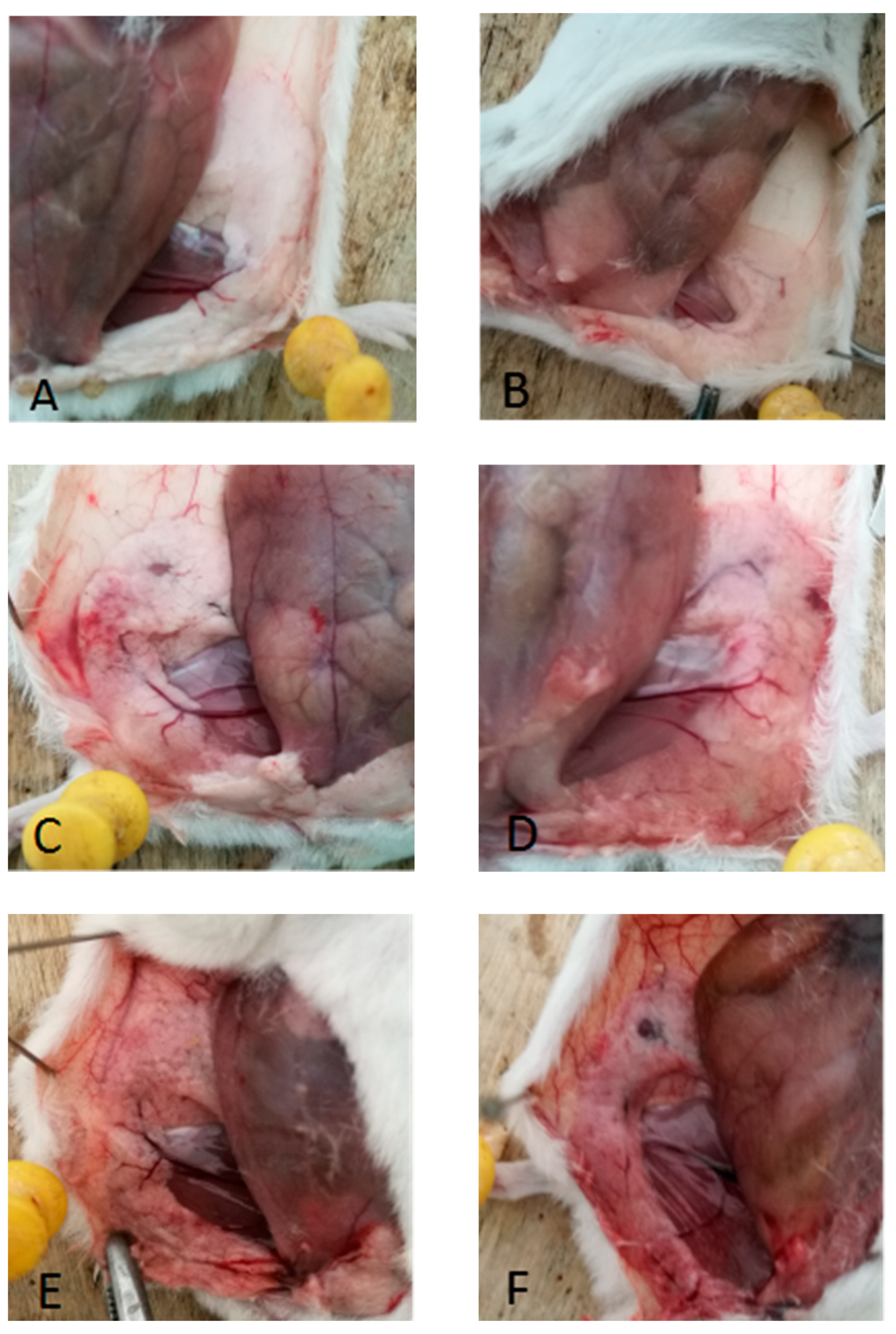 Preprints 90938 g003
