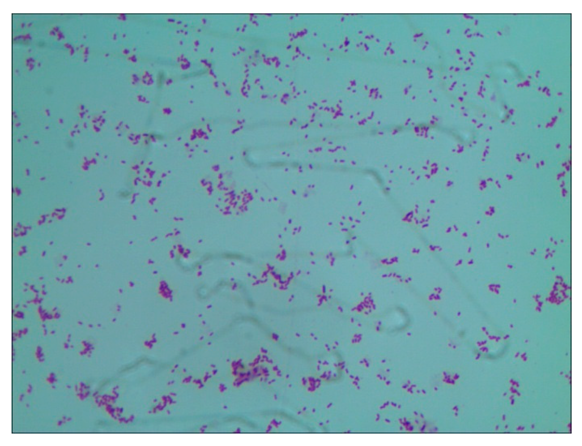 Preprints 90938 g005