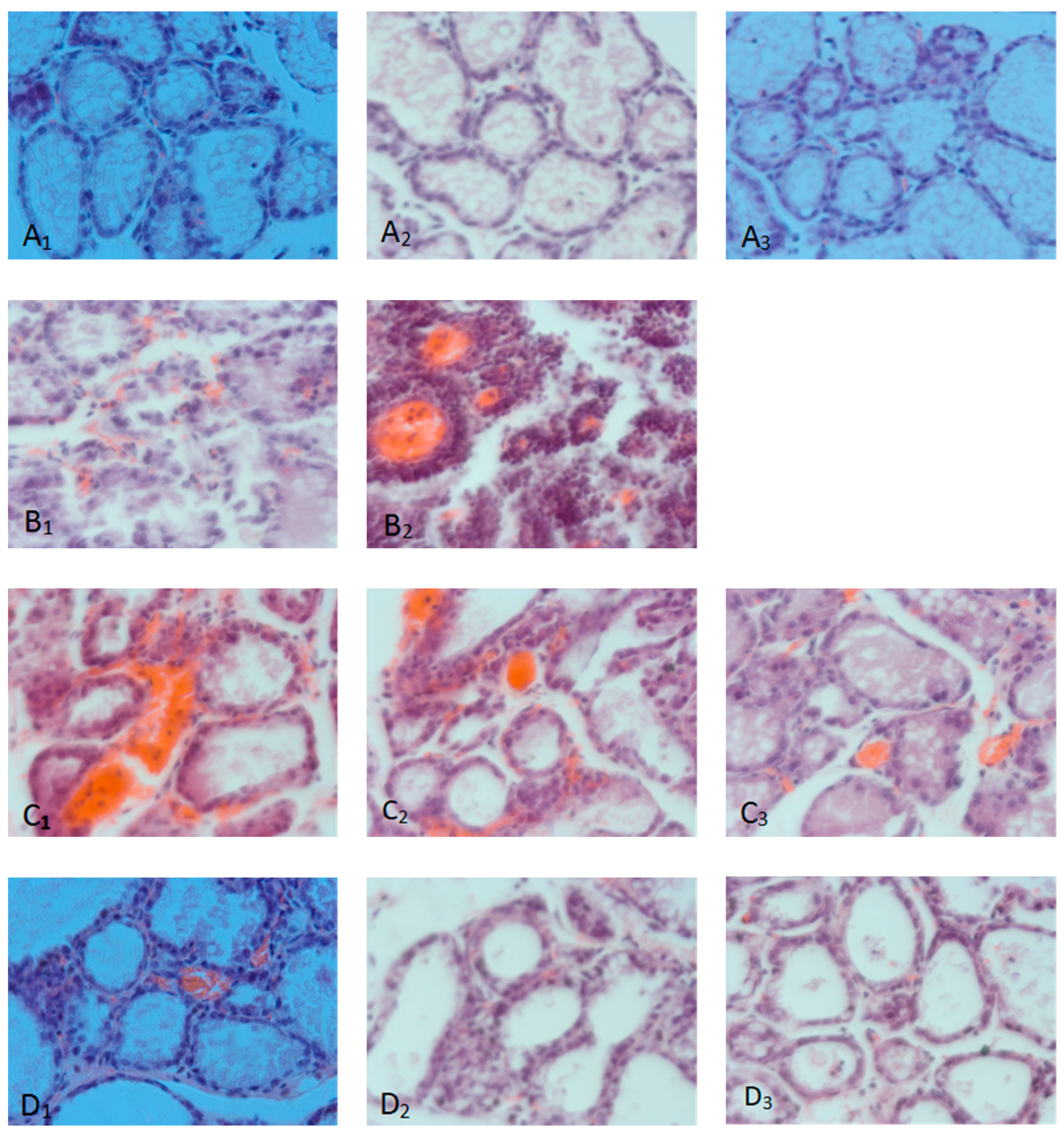 Preprints 90938 g006