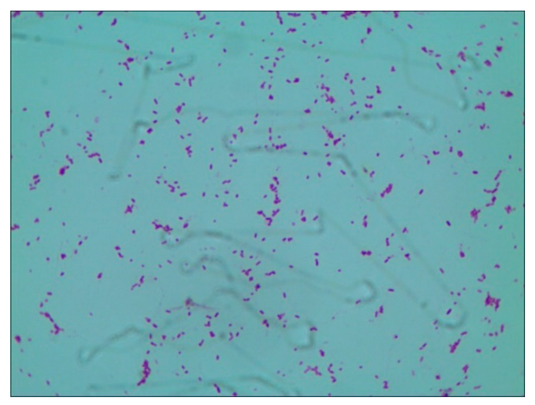 Preprints 90938 g008