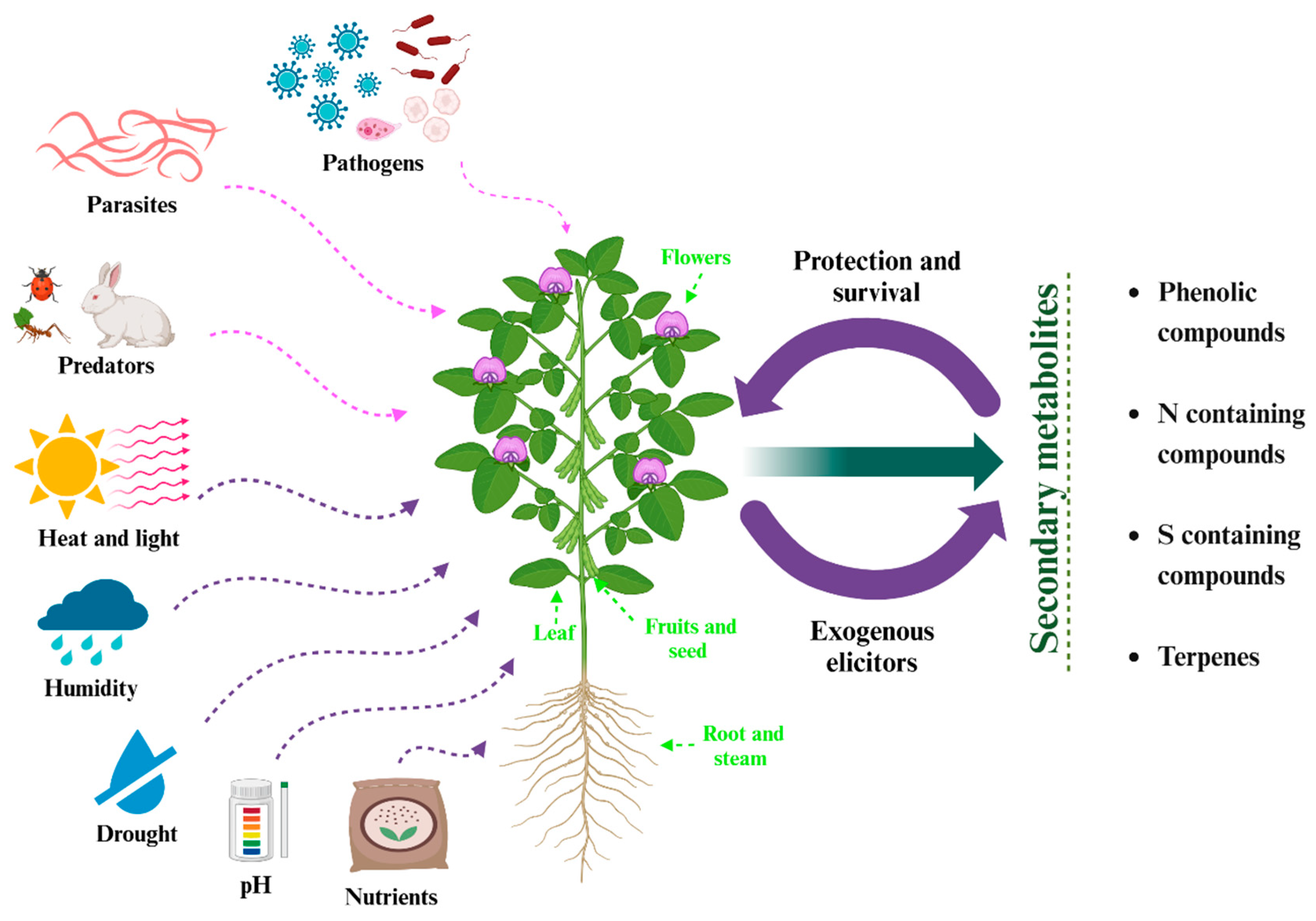 Preprints 142658 g002