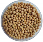 Preprints 142658 i001