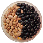 Preprints 142658 i002