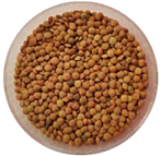 Preprints 142658 i005