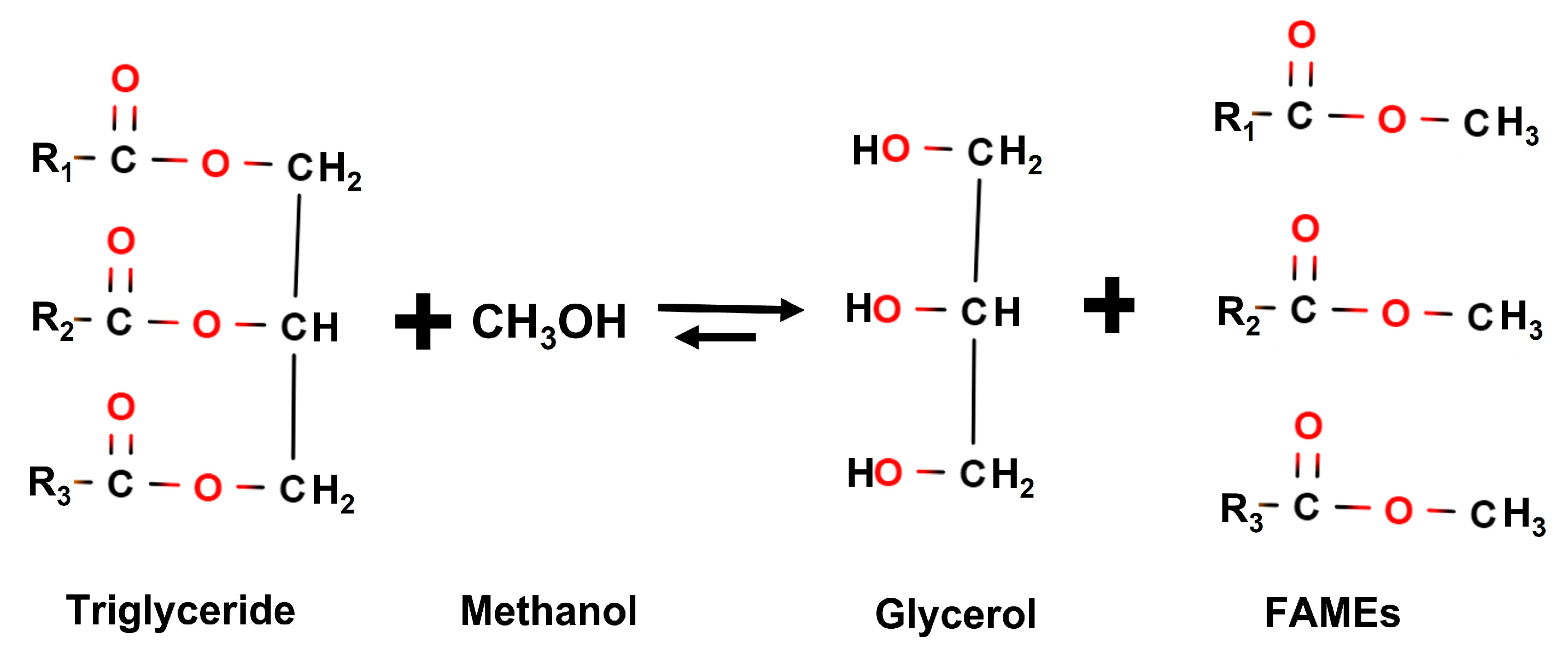 Preprints 82111 g002