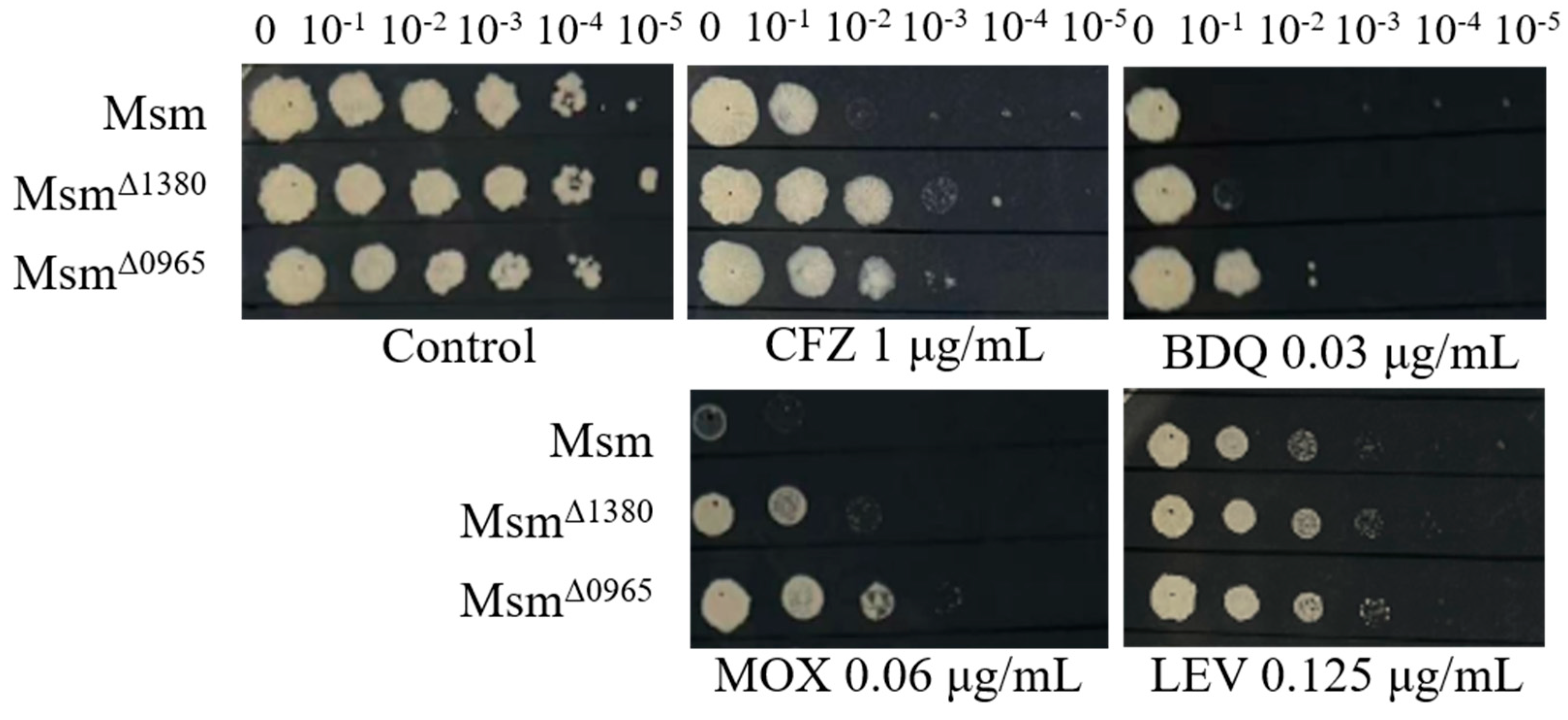 Preprints 150824 g001