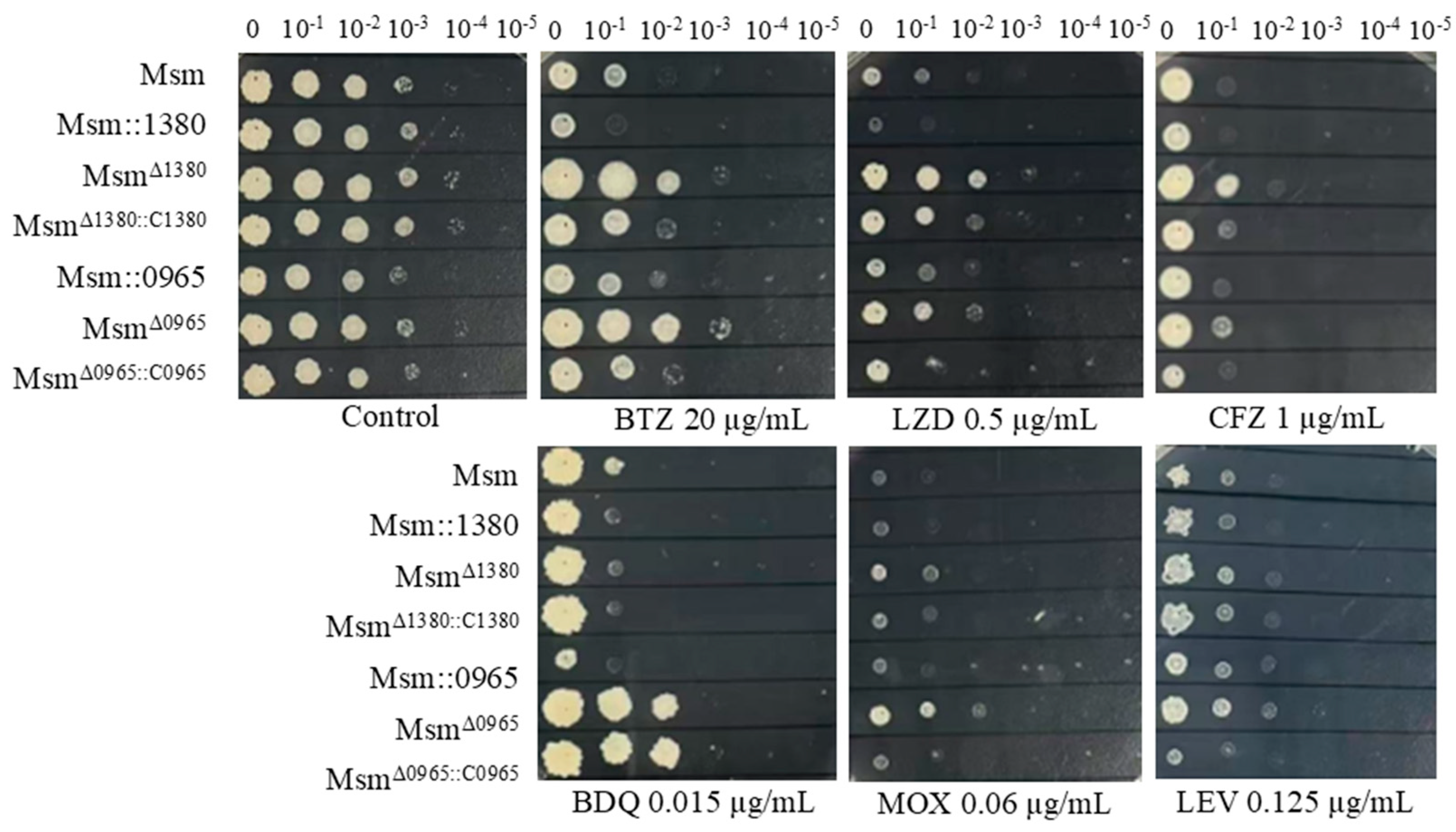 Preprints 150824 g002