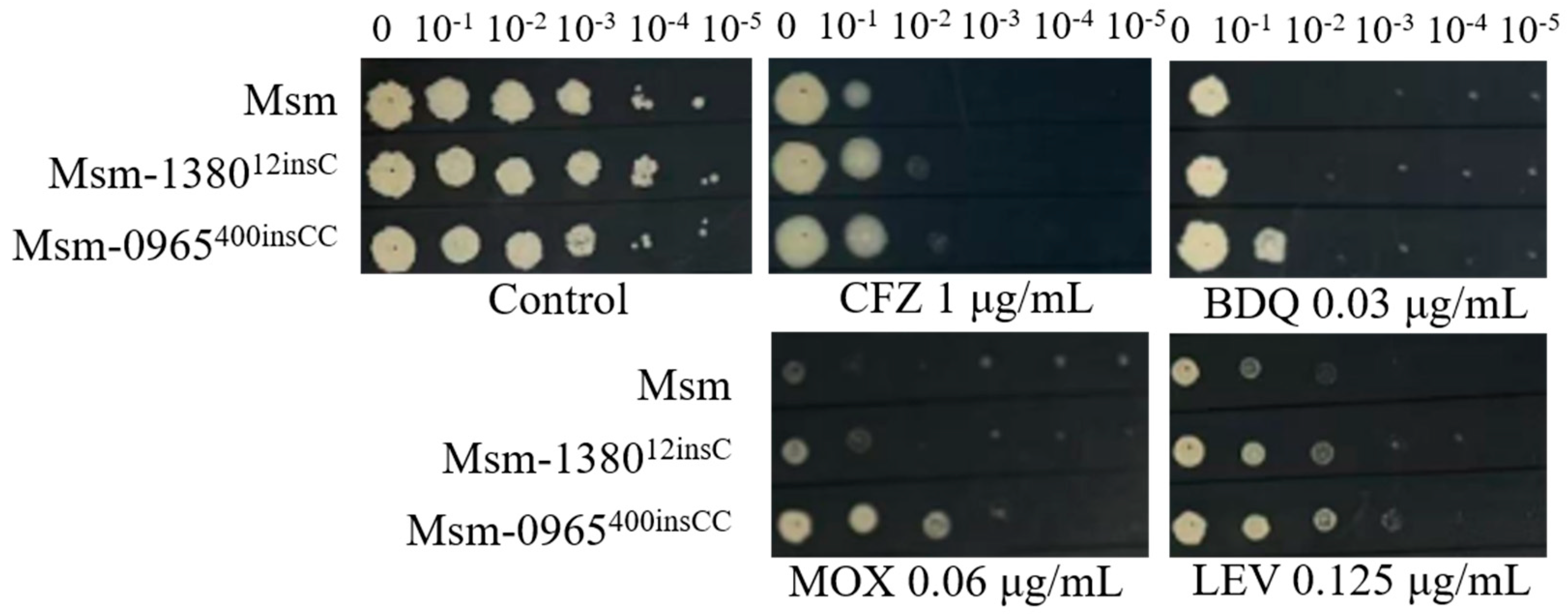 Preprints 150824 g003