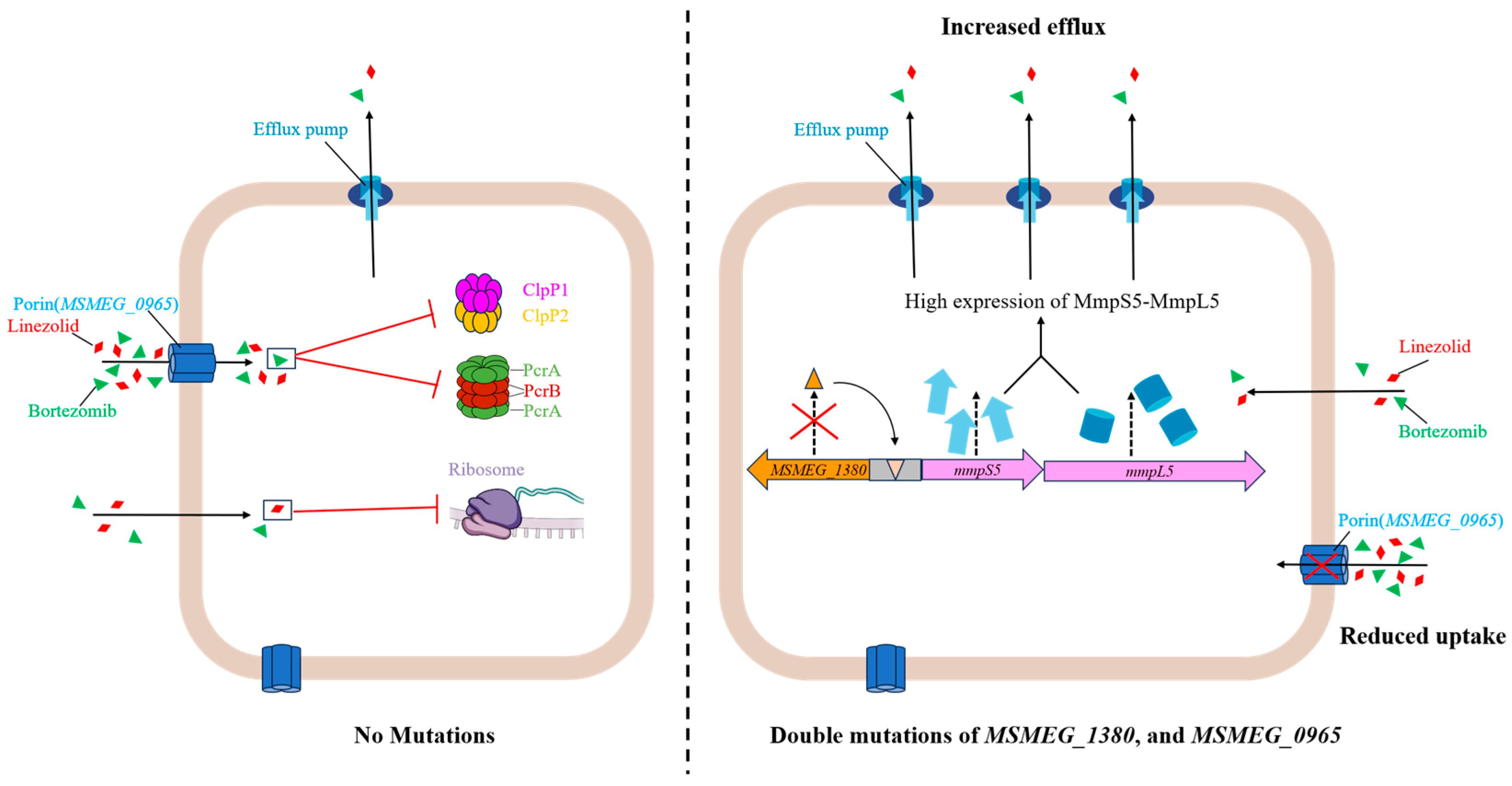 Preprints 150824 g006