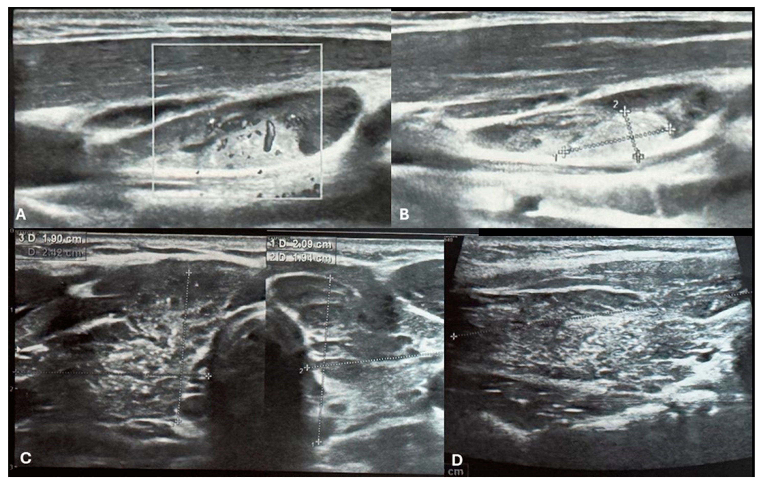 Preprints 145359 g001